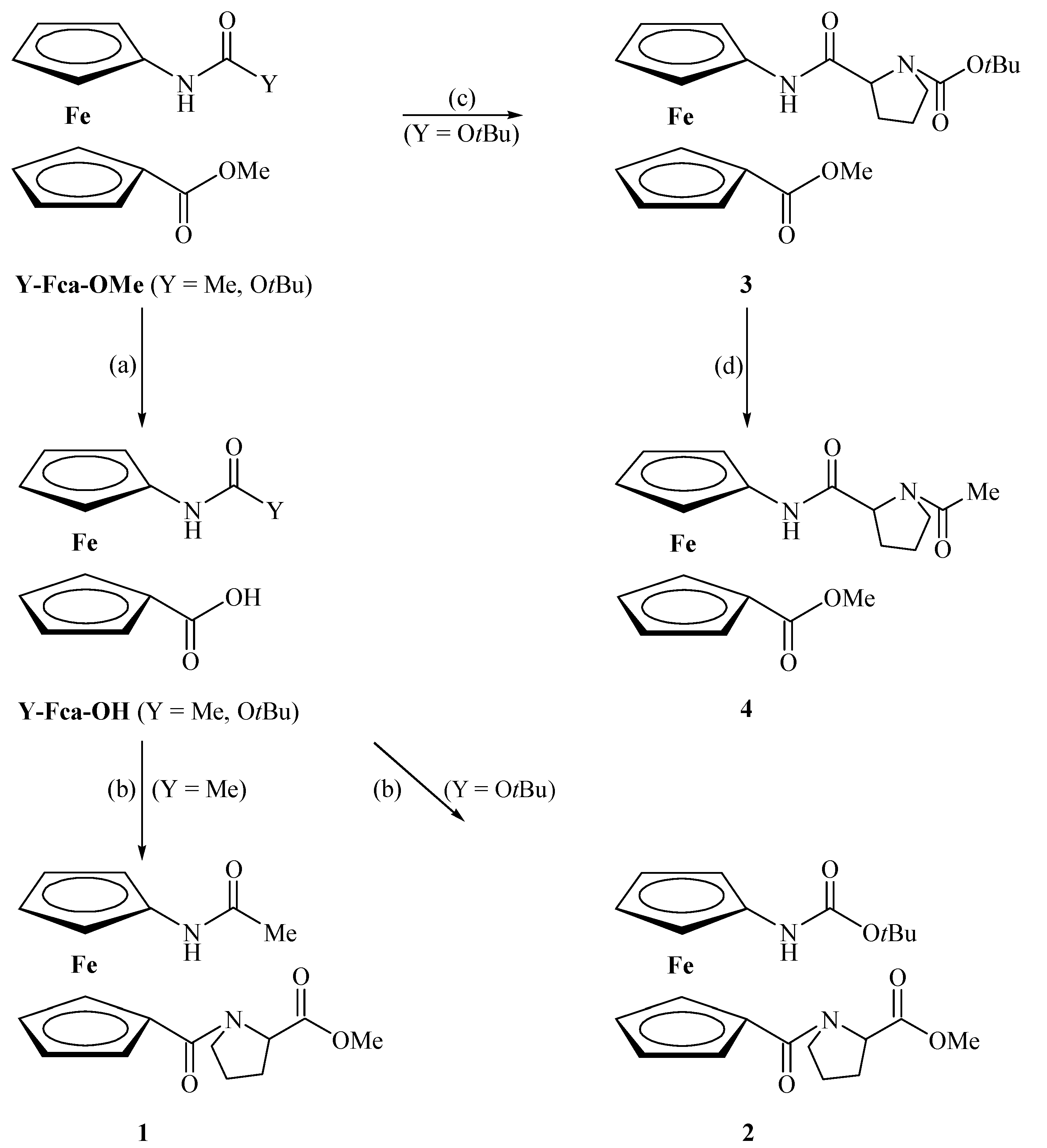 Molecules 19 12852 g012 550