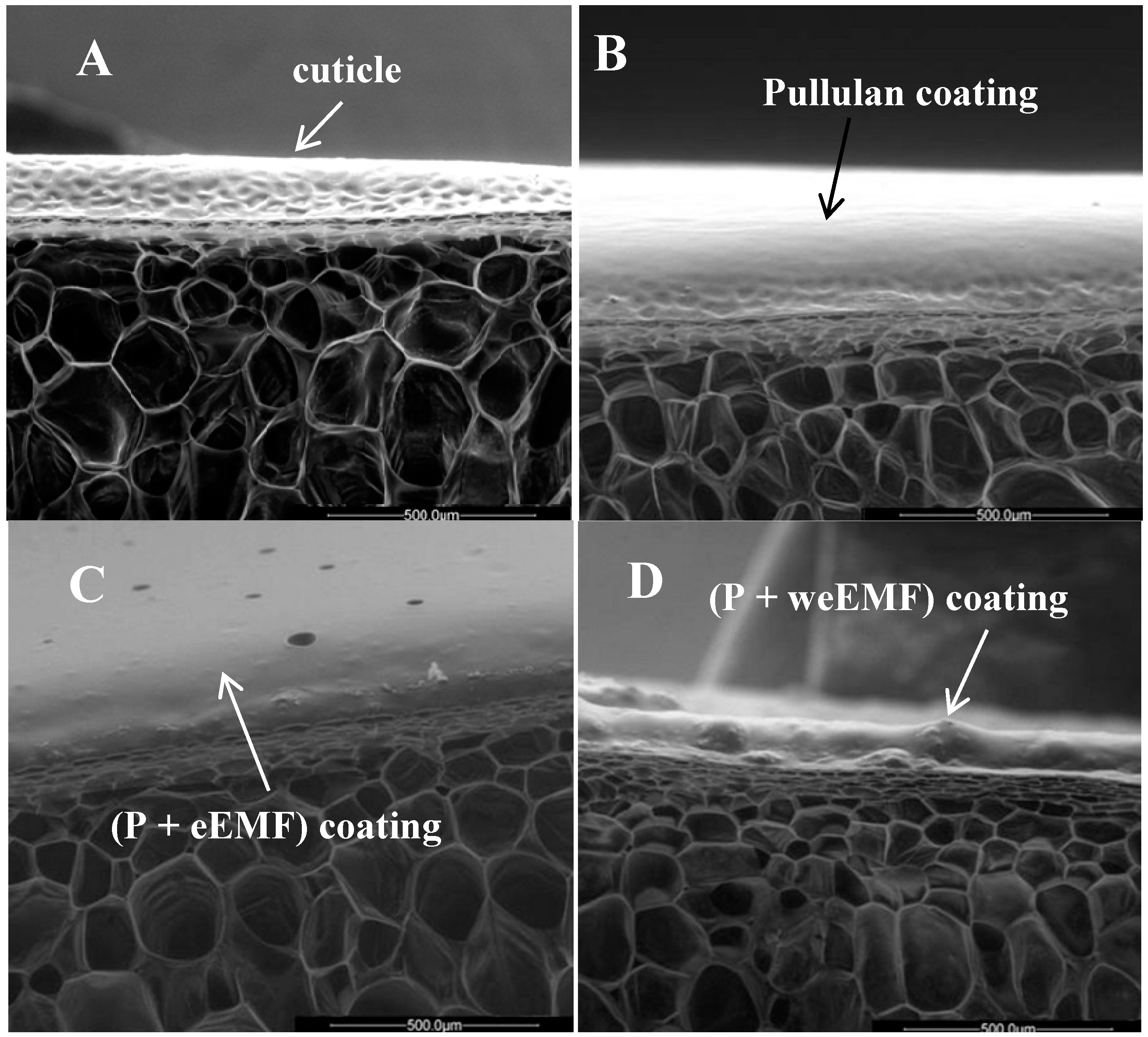 Molecules 19 12925 g003 550