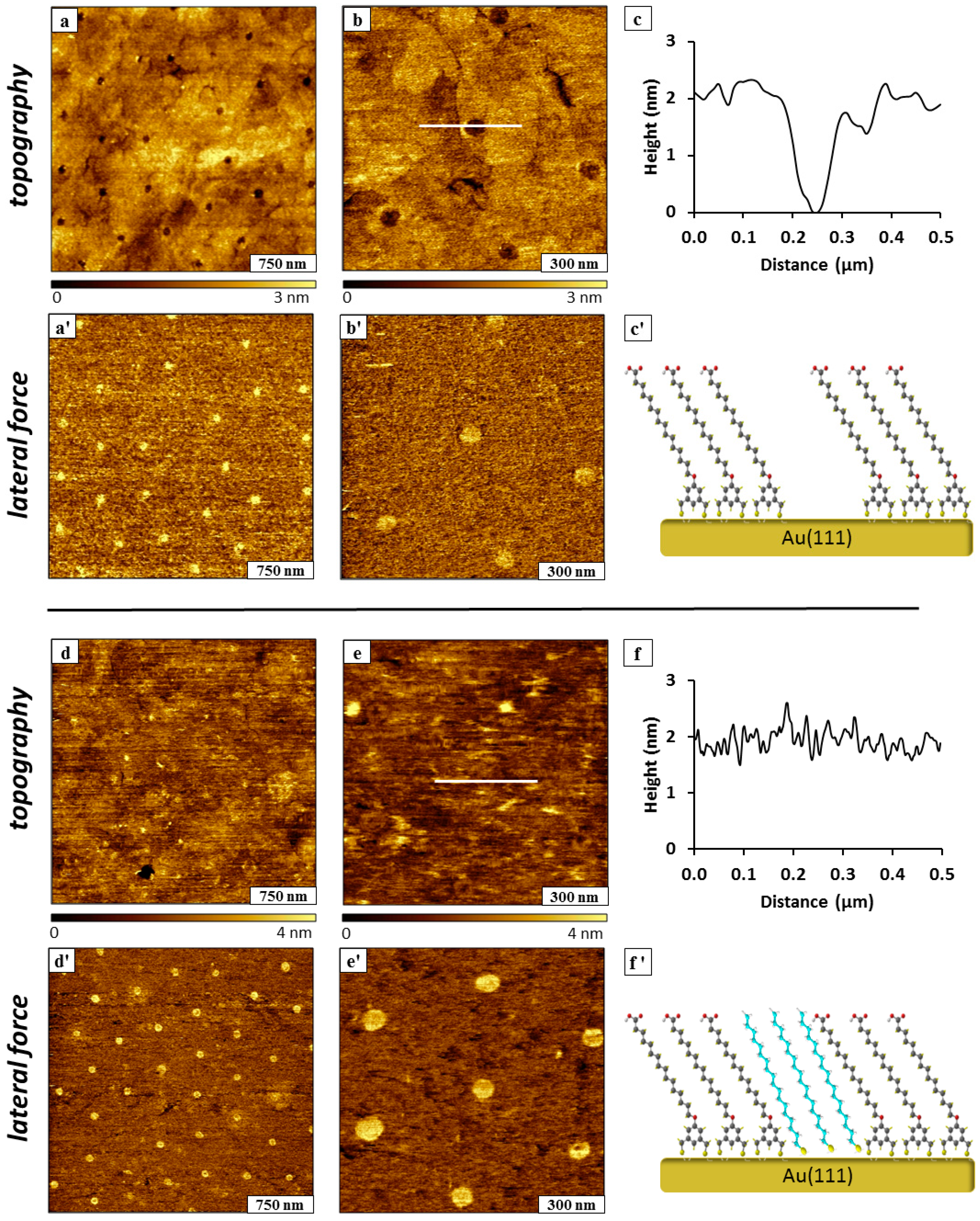 Molecules 19 13010 g006 550