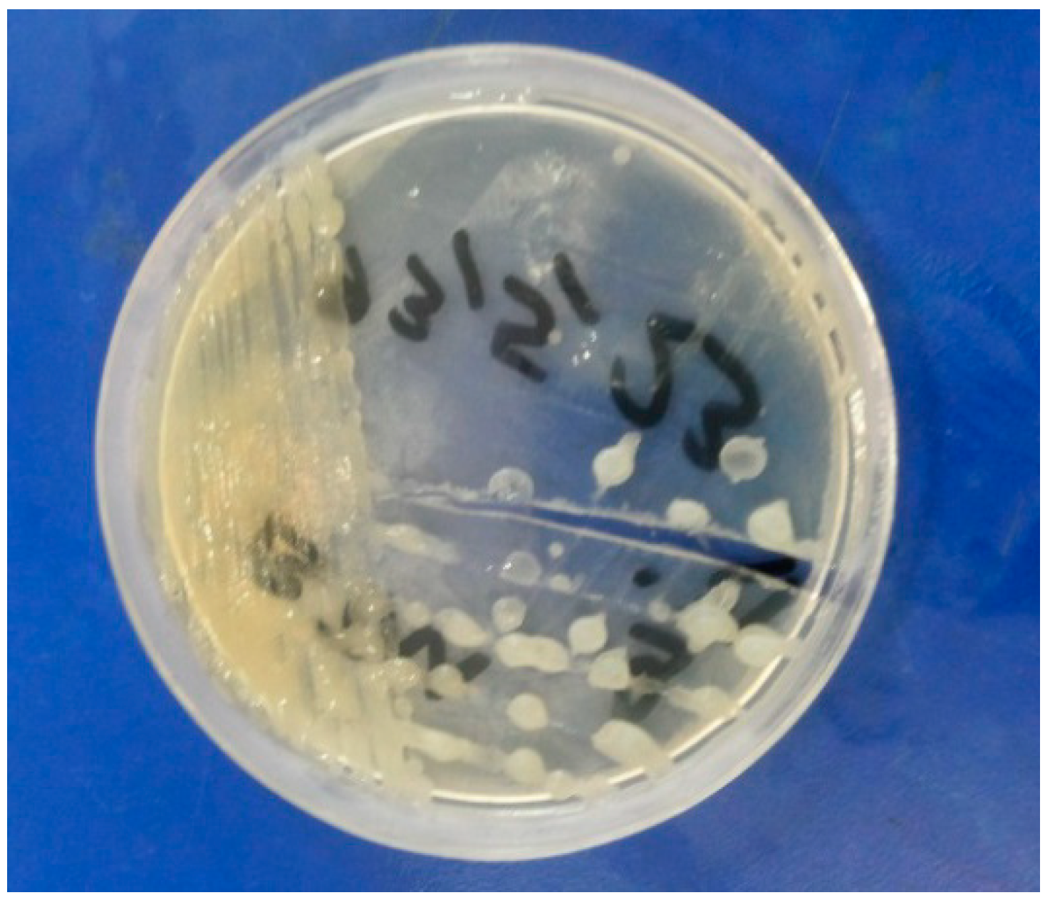 Molecules 19 13093 g002