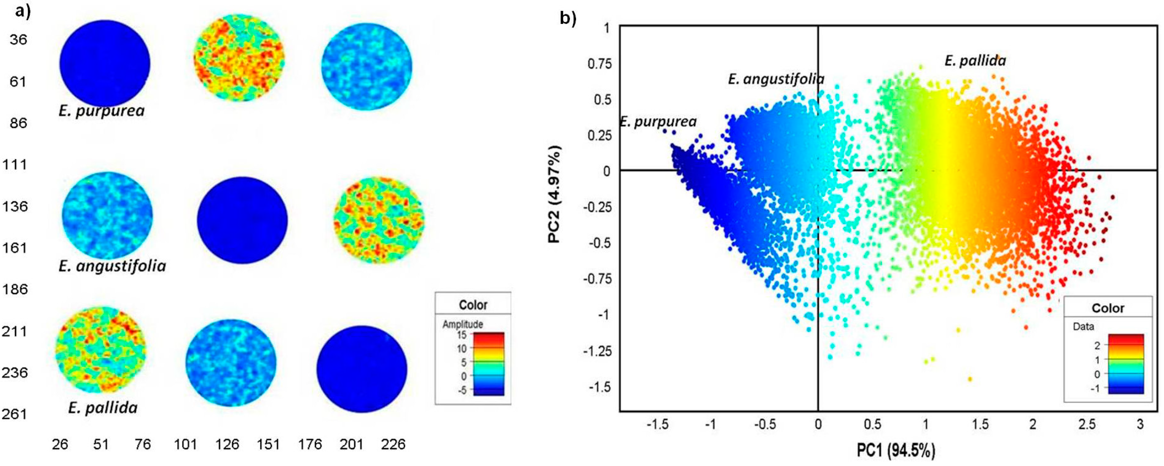 Molecules 19 13104 g005 550