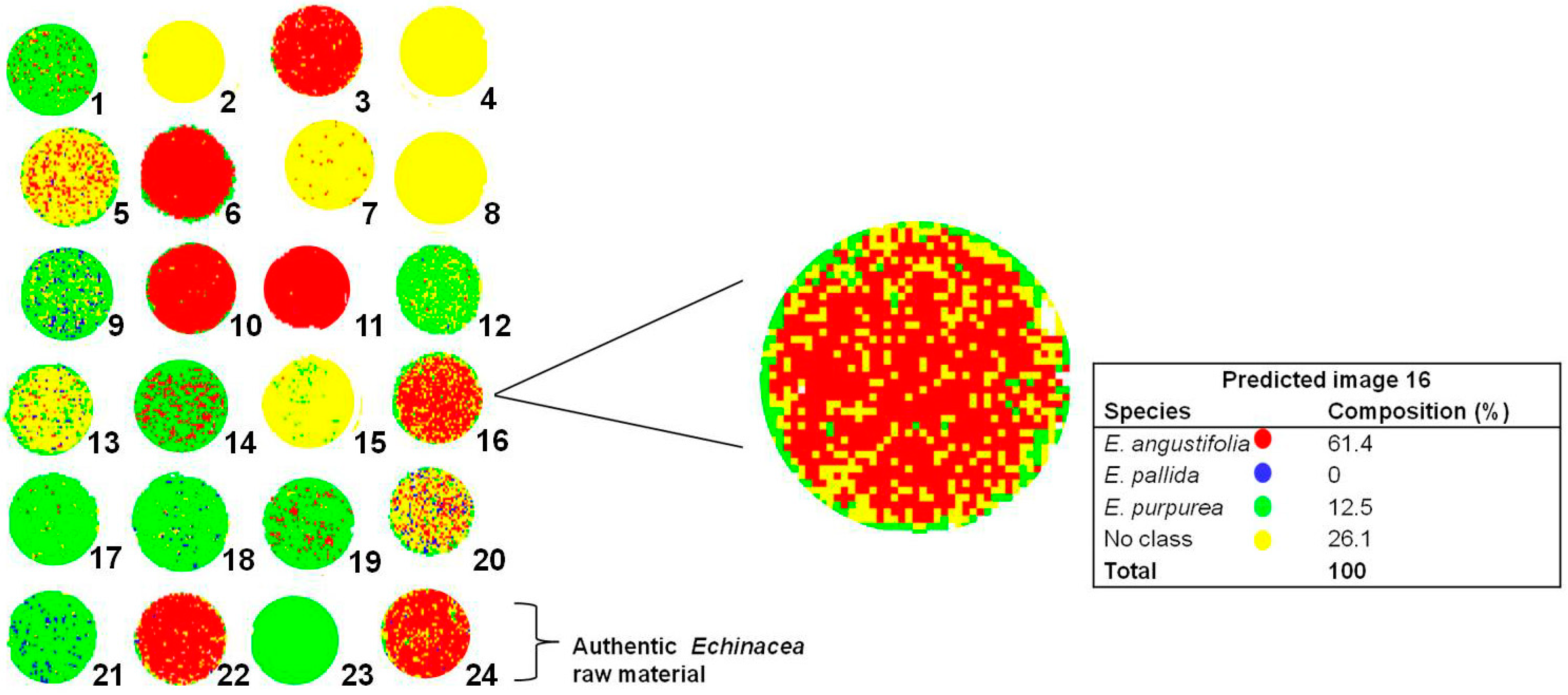 Molecules 19 13104 g009 550