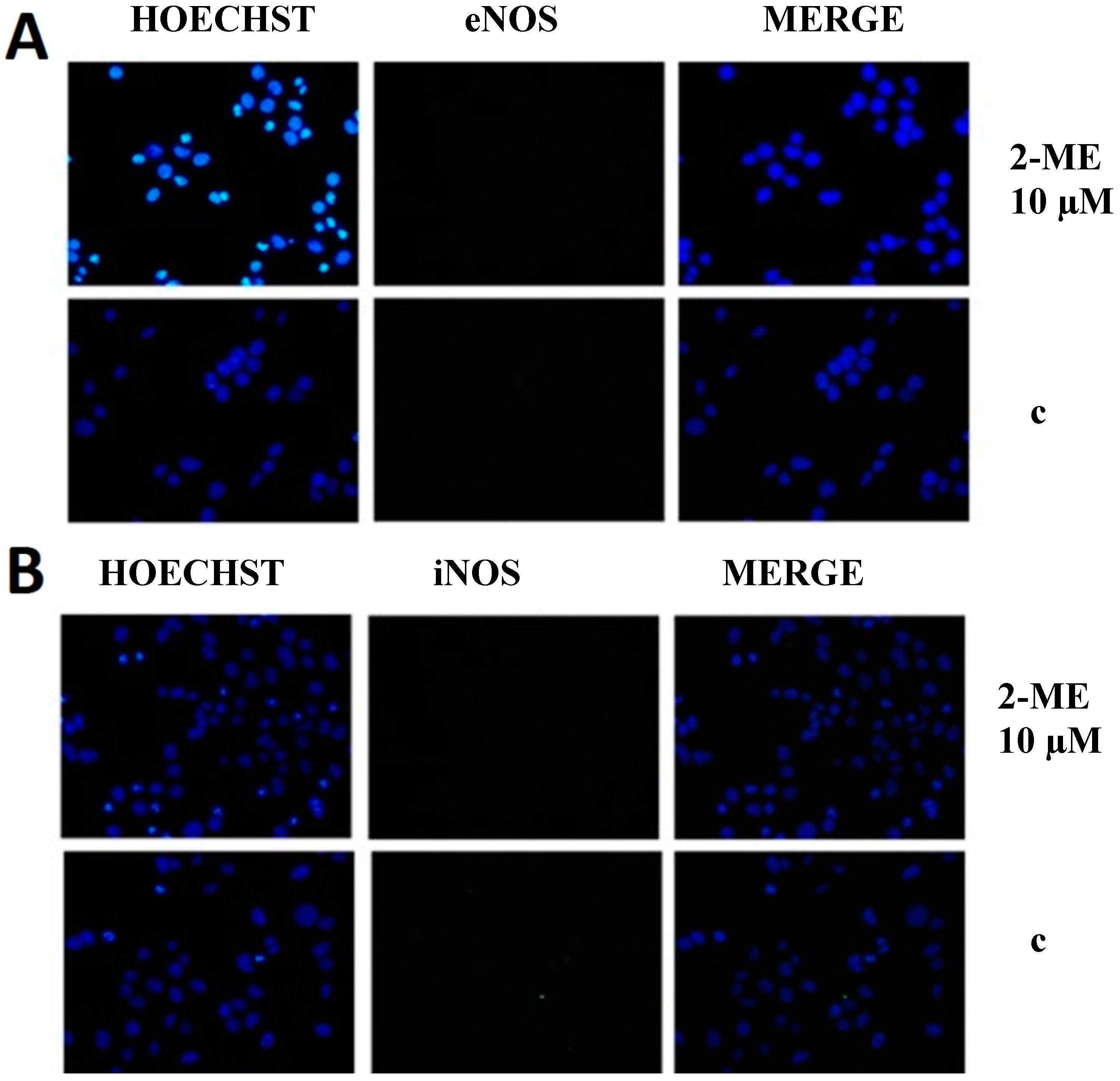 Molecules 19 13267 g004 550