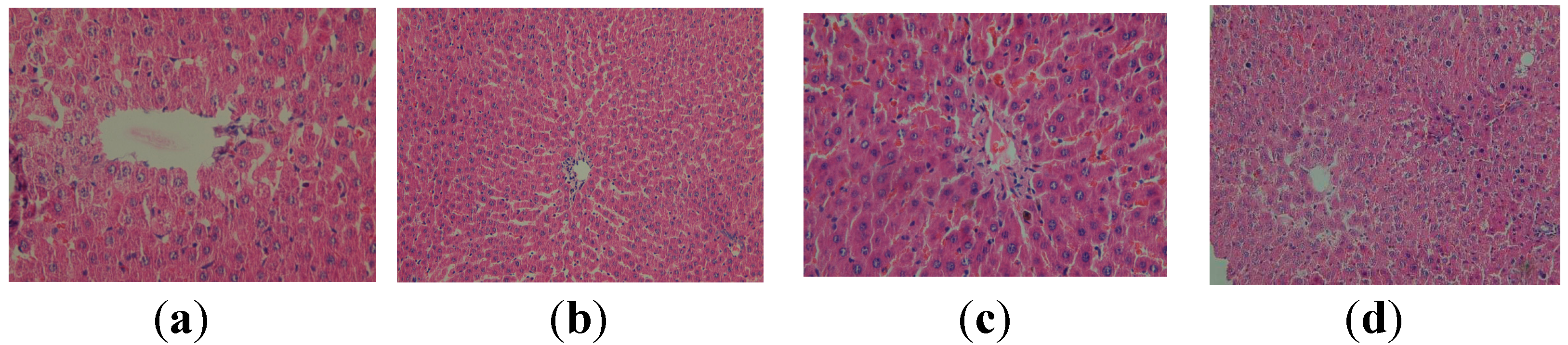 Molecules 19 13374 g003 550
