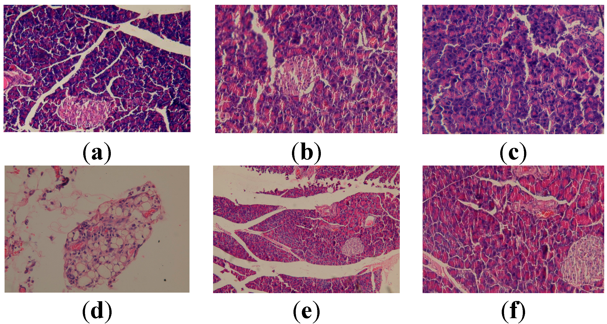Molecules 19 13374 g004 550