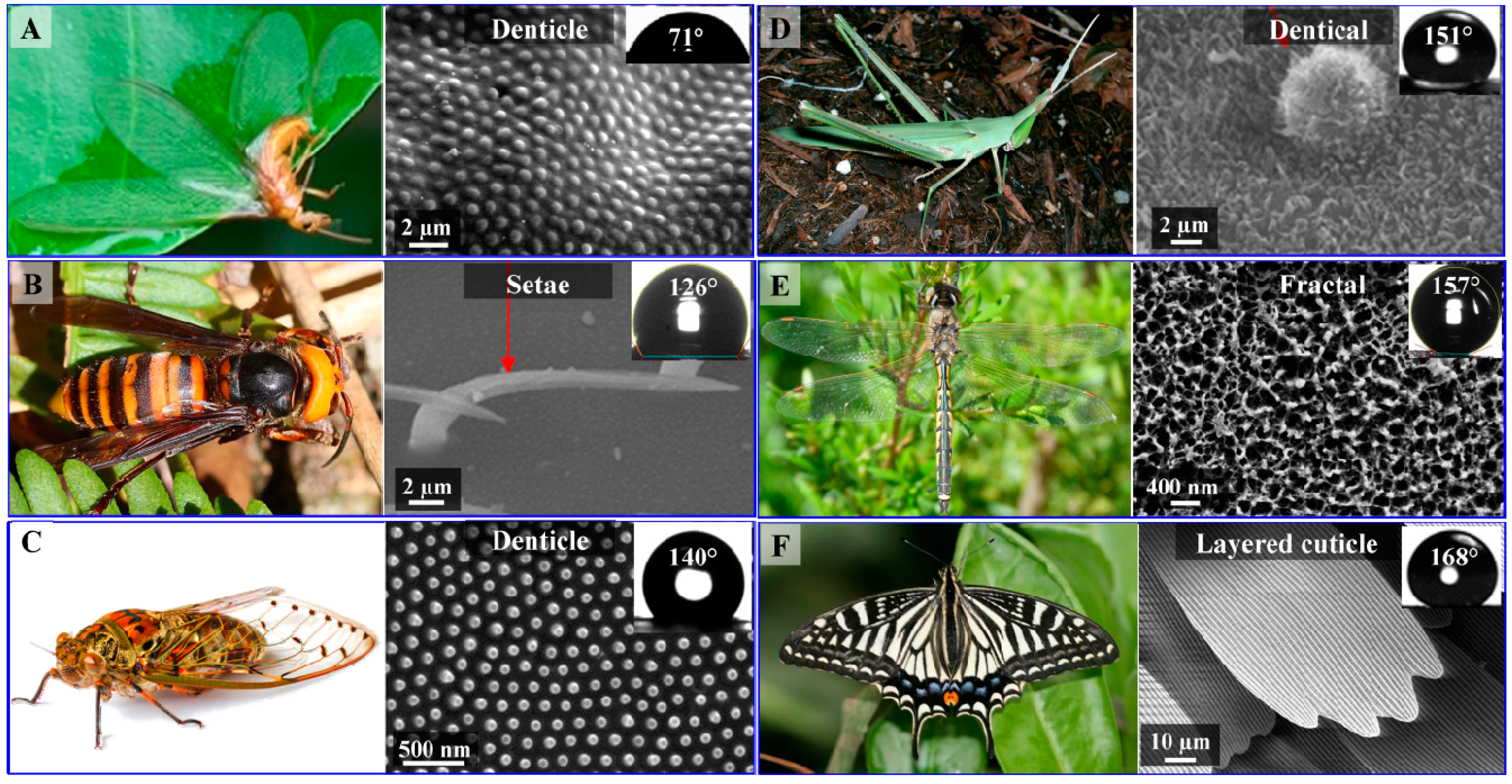 Molecules 19 13614 g002 550