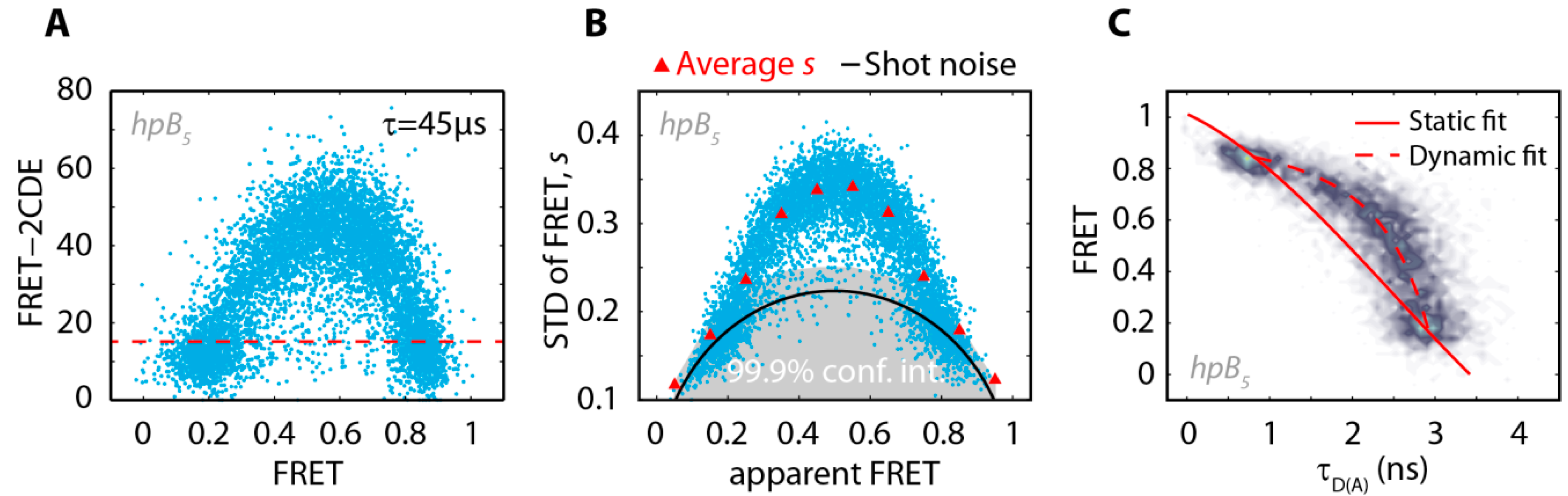 Dresden single molecule