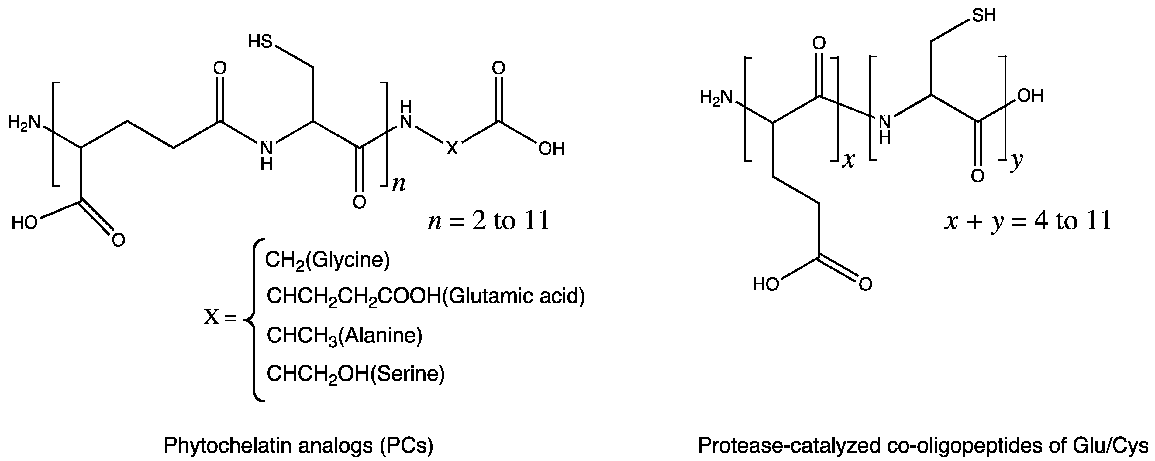 Molecules 19 13755 g005