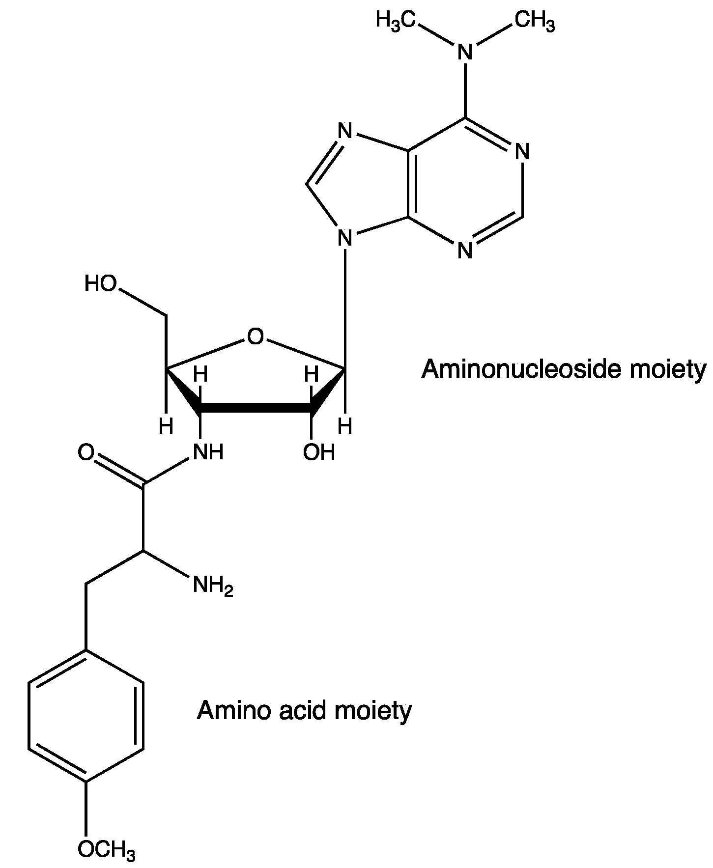 Molecules 19 13755 g006