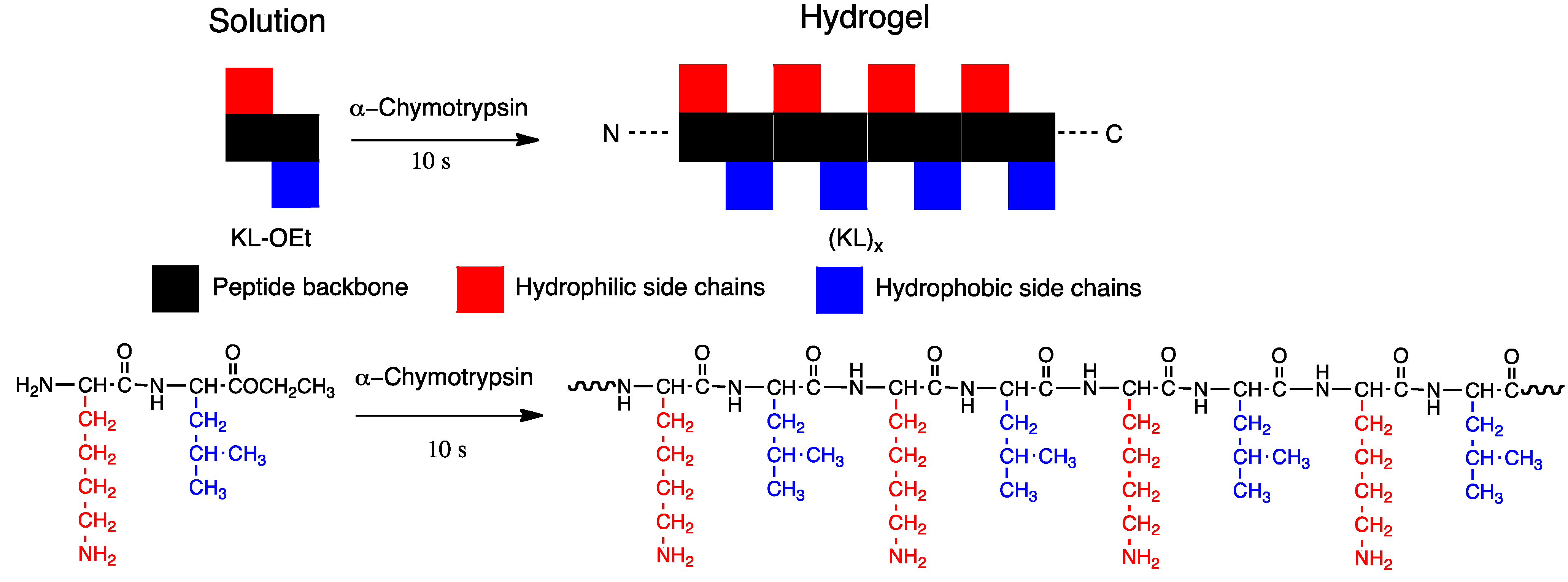 Molecules 19 13755 g008