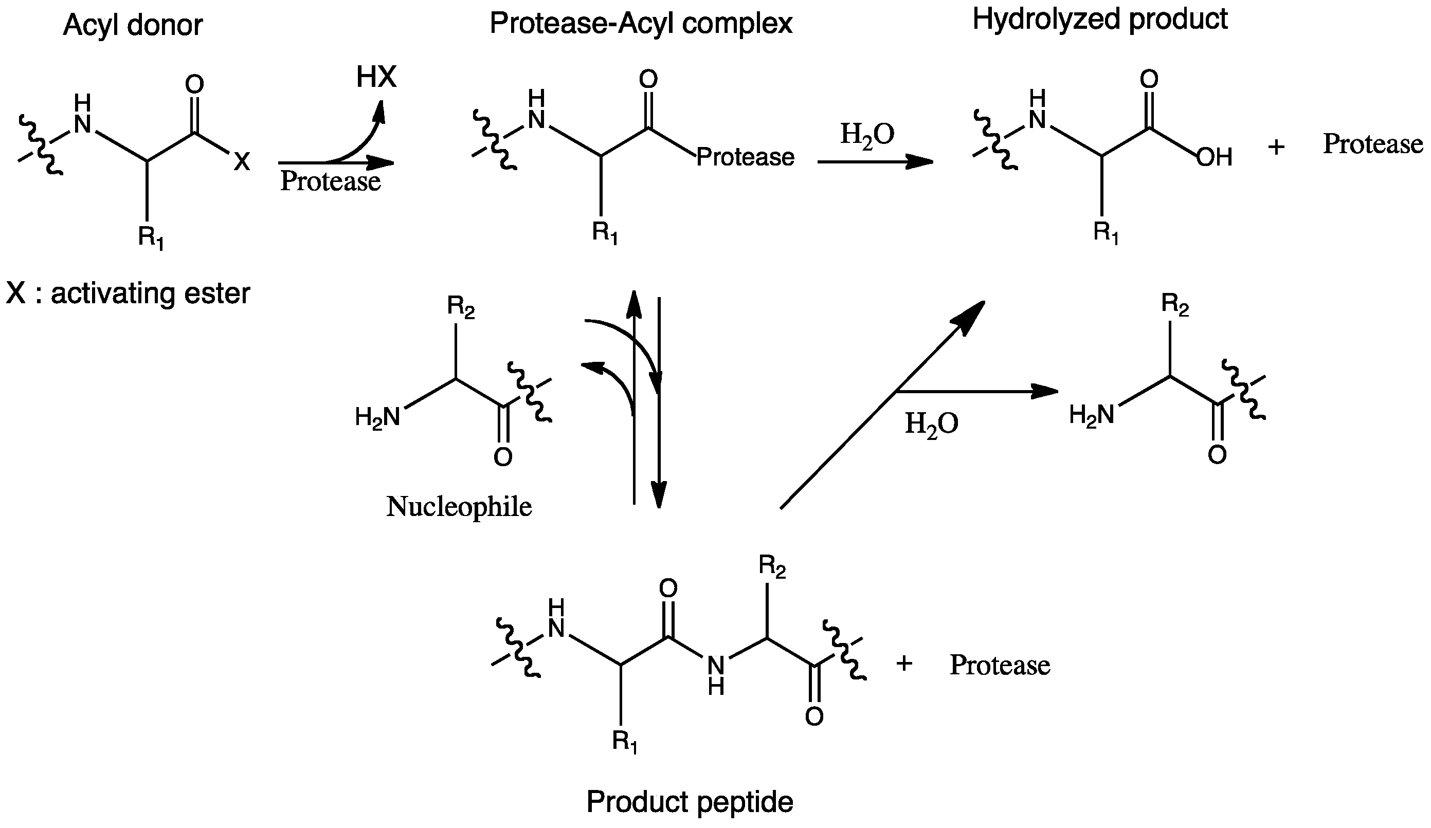 Molecules 19 13755 g011