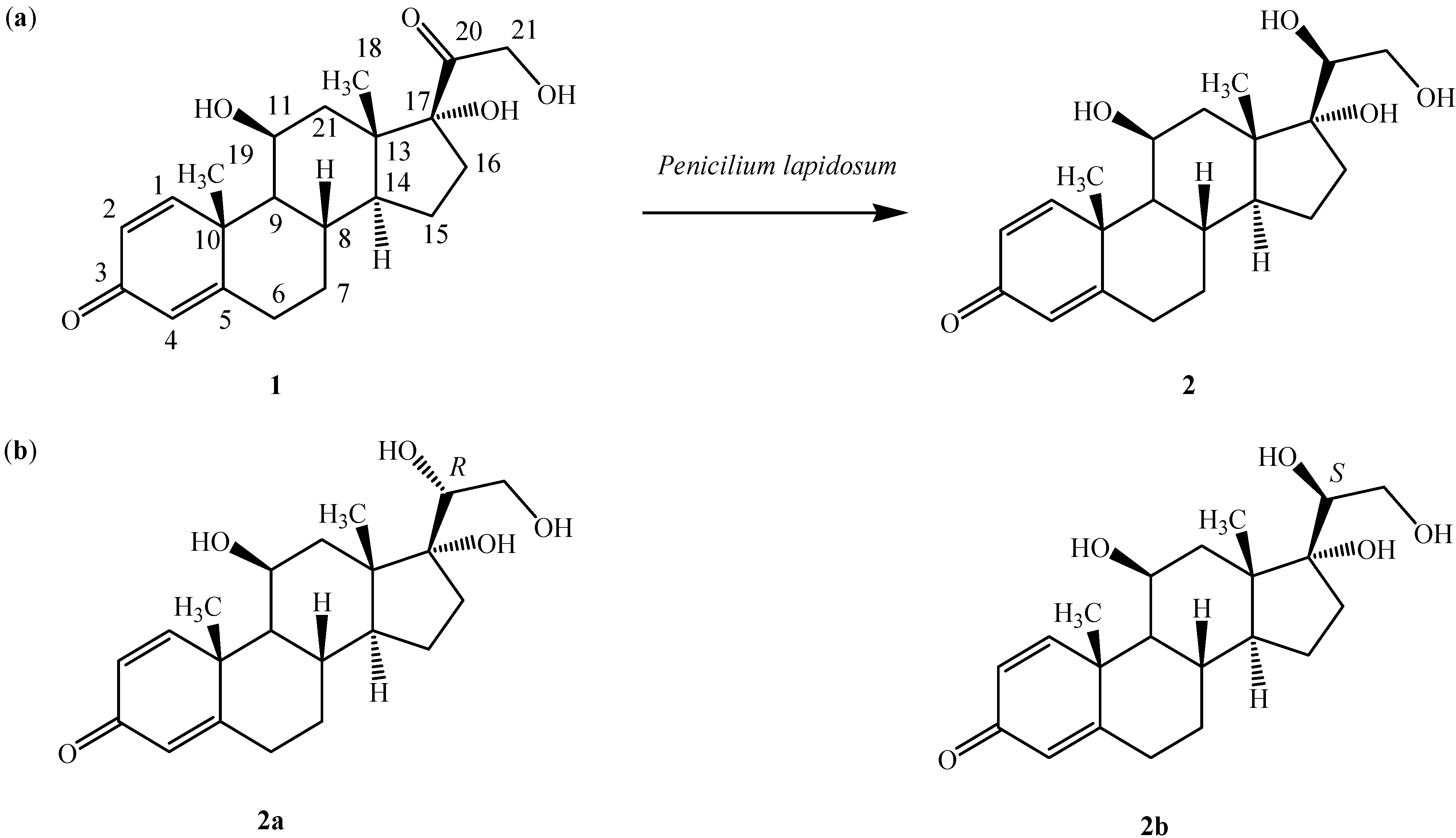 Molecules 19 13775 g001