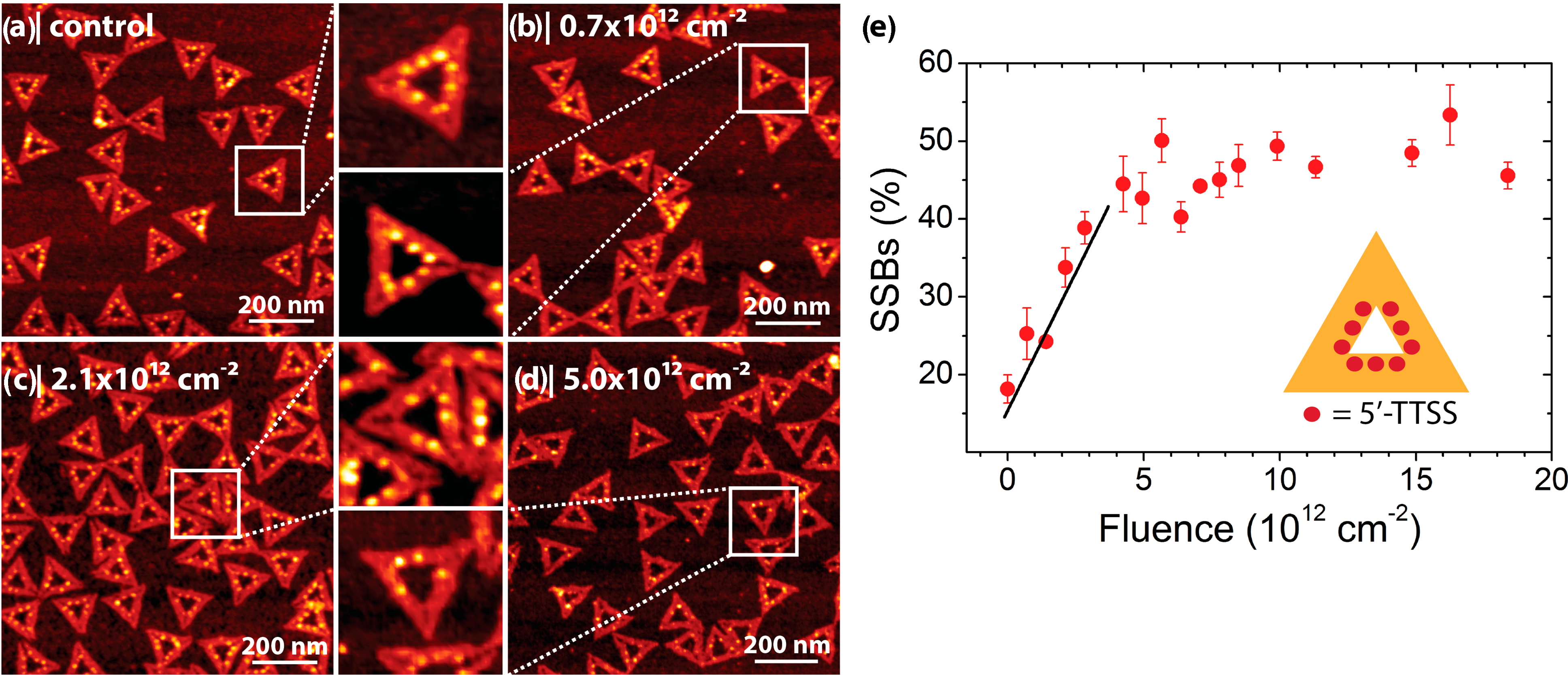 Molecules 19 13803 g006