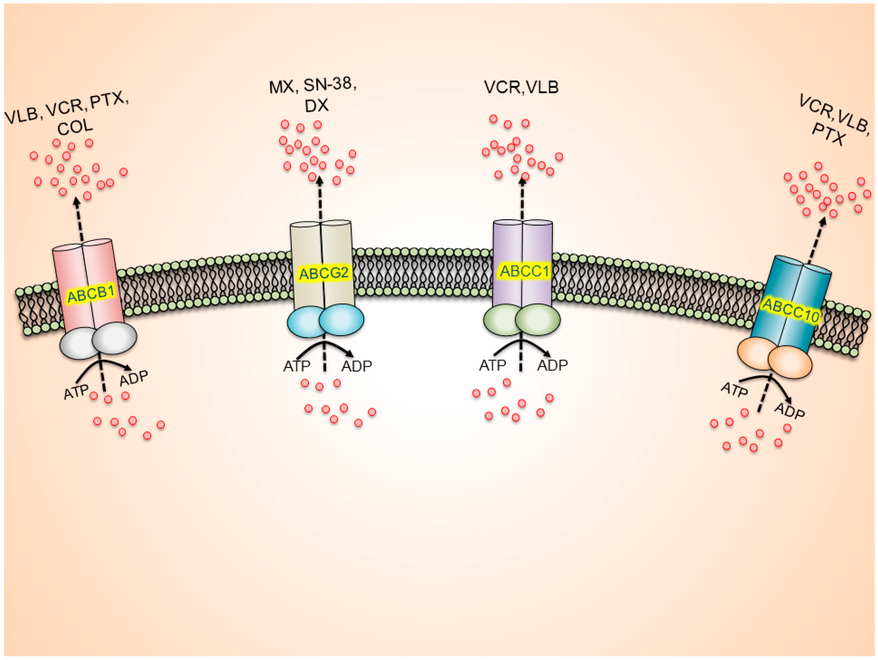Molecules 19 13848 g001