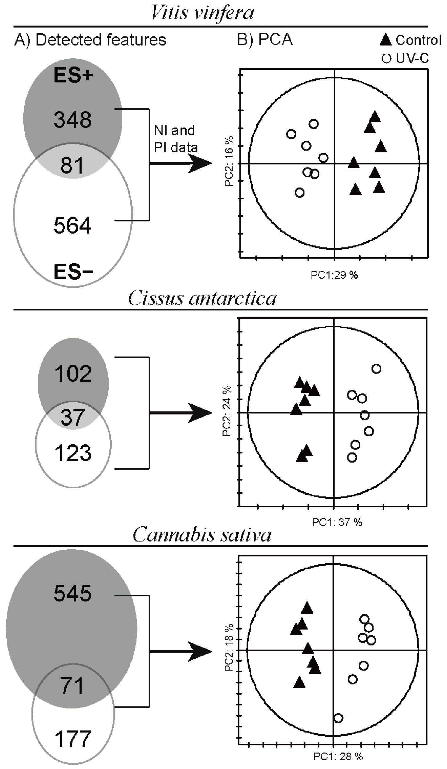 Molecules 19 14004 g002