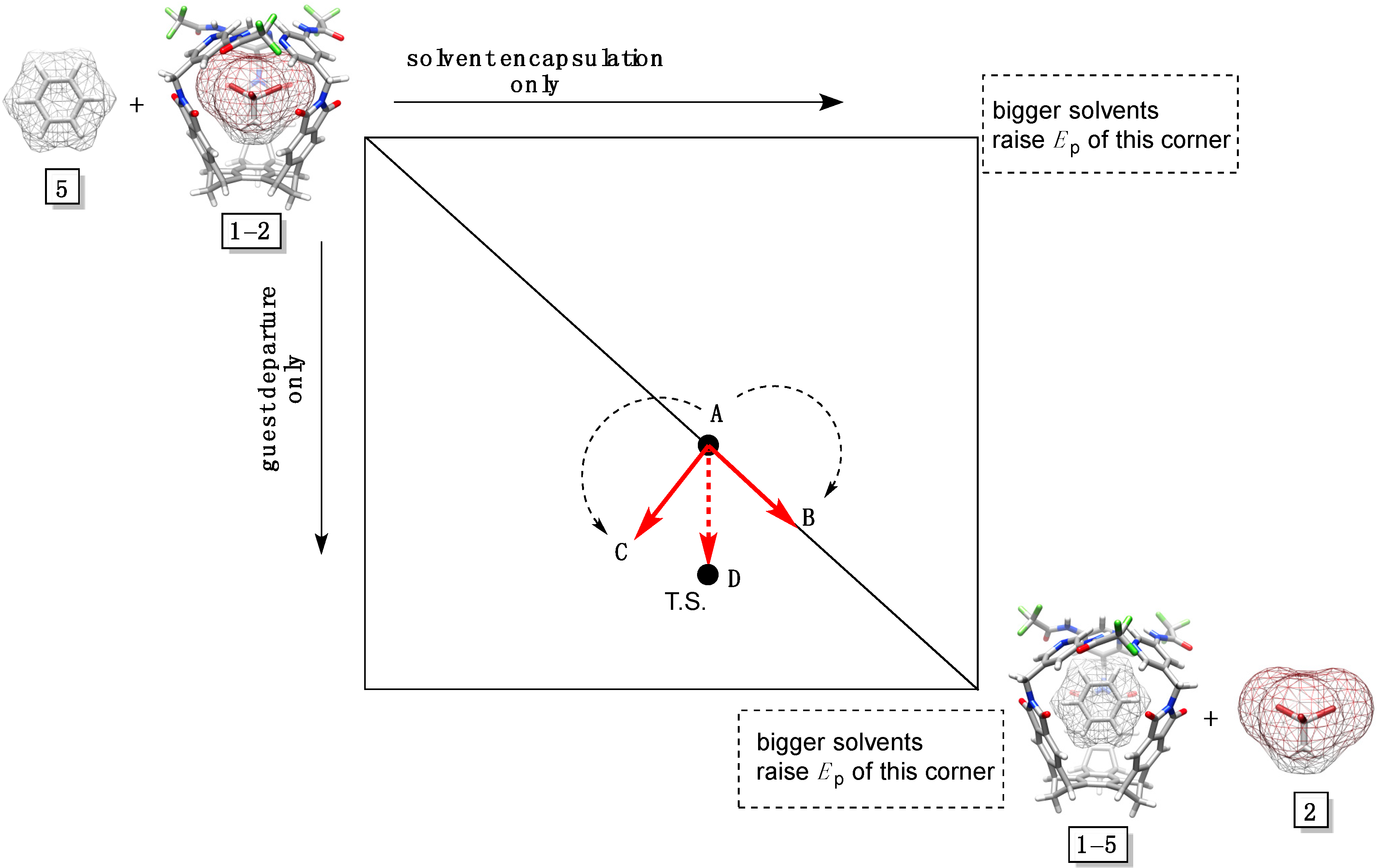 Molecules 19 14292 g005 550