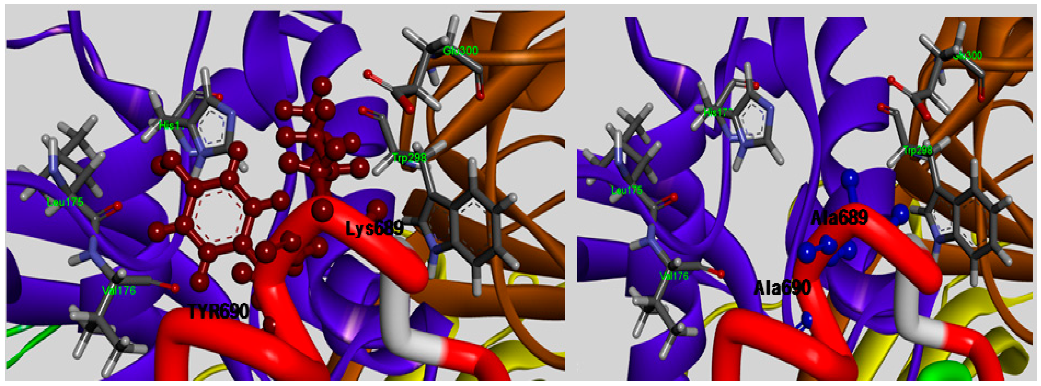 Molecules 19 14316 g004 550