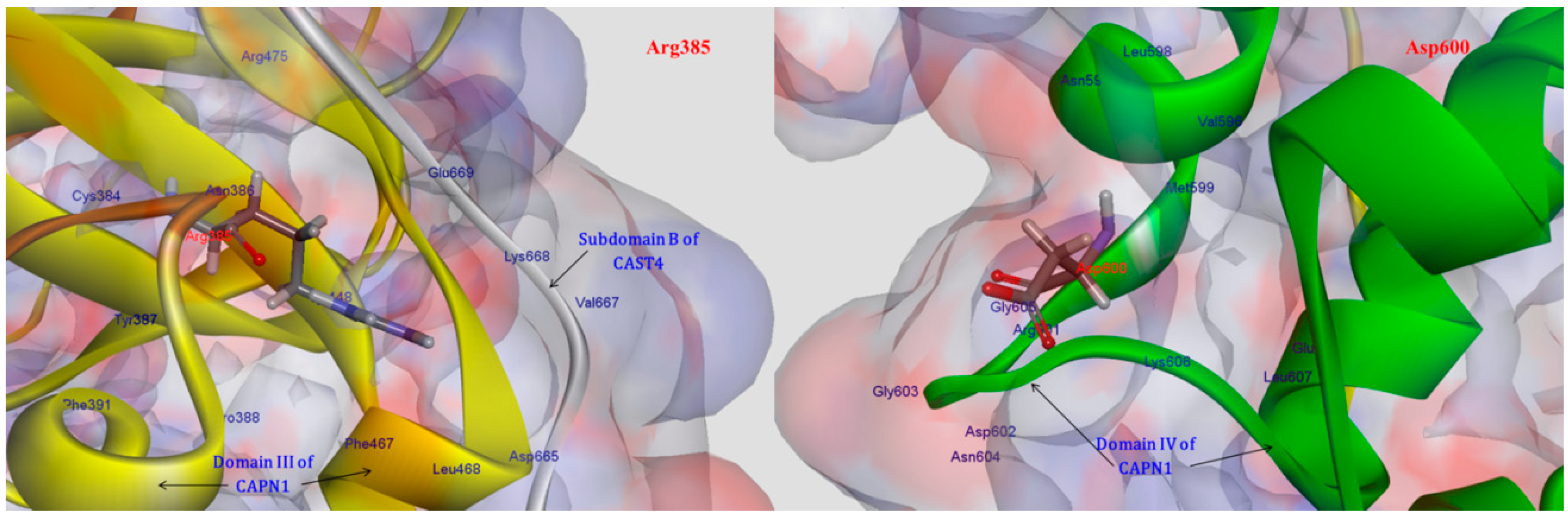 Molecules 19 14316 g007 550