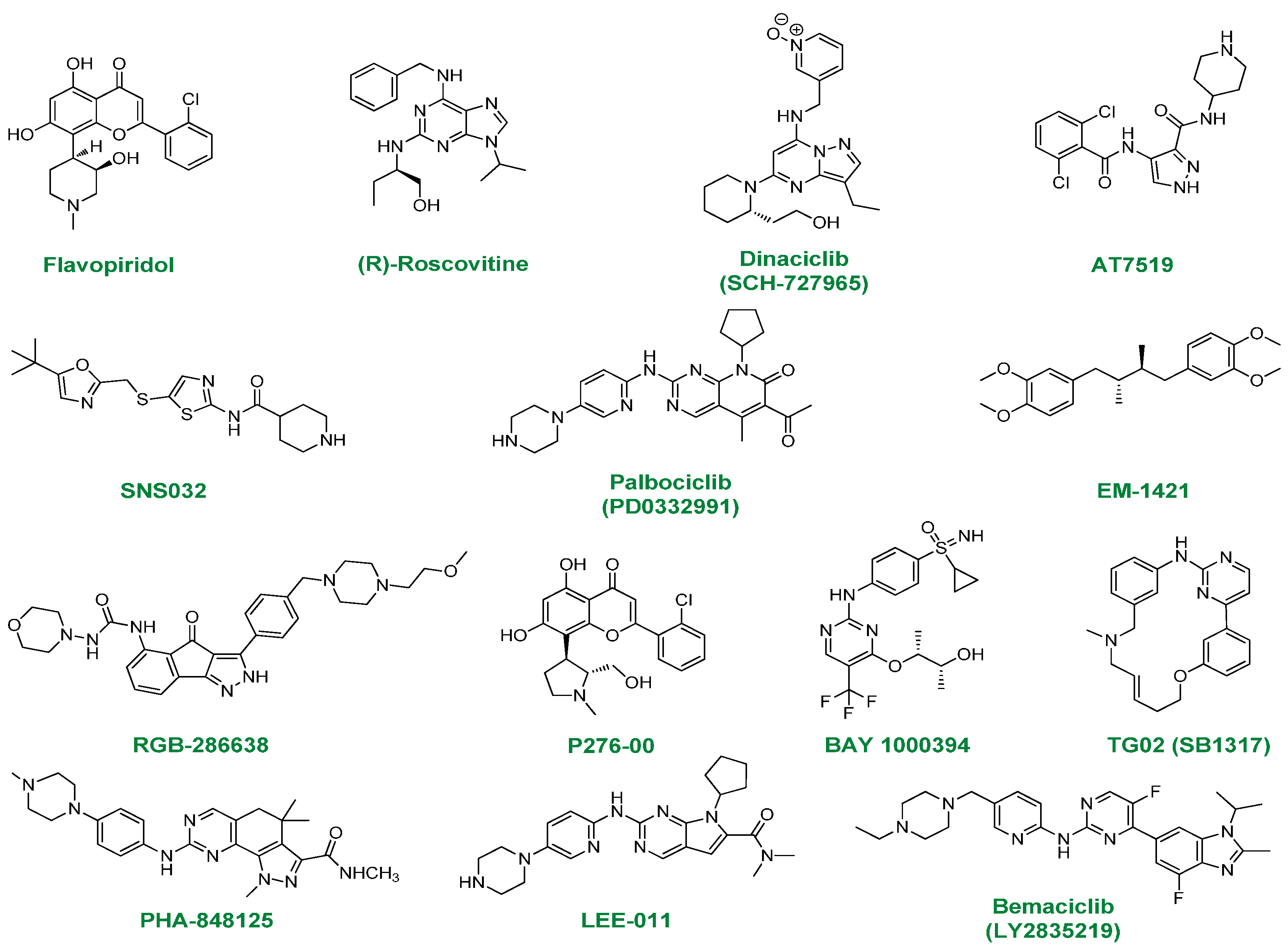 Cyclin-Dependent Kinase Inhibitors as ... Biology Diagrams