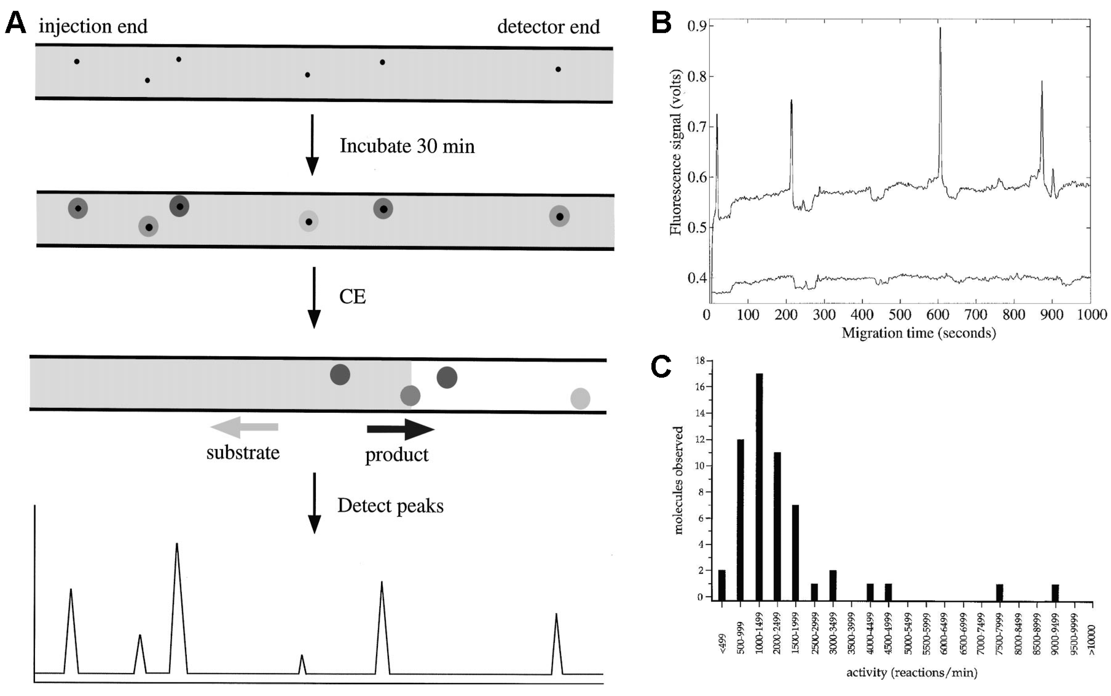 Molecules 19 14417 g001