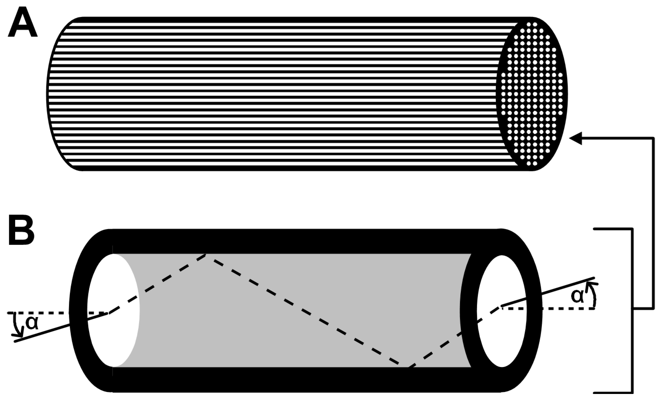 Molecules 19 14417 g004