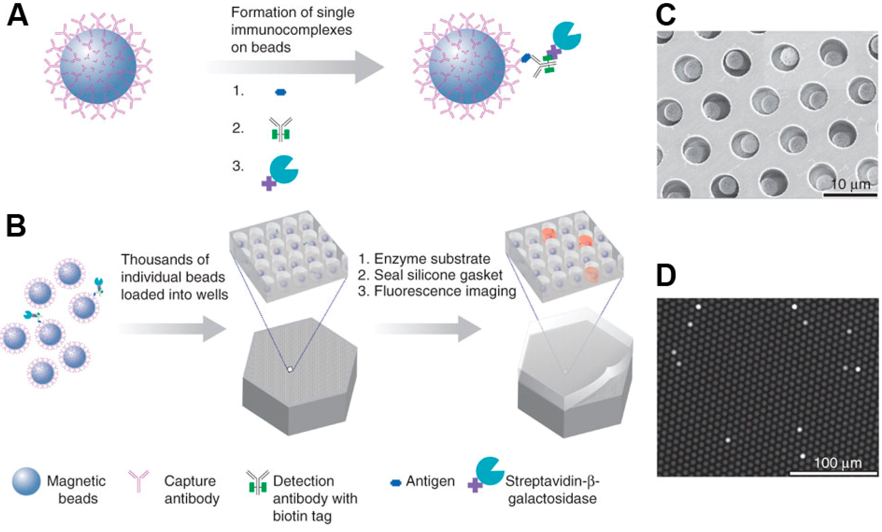 Molecules 19 14417 g006