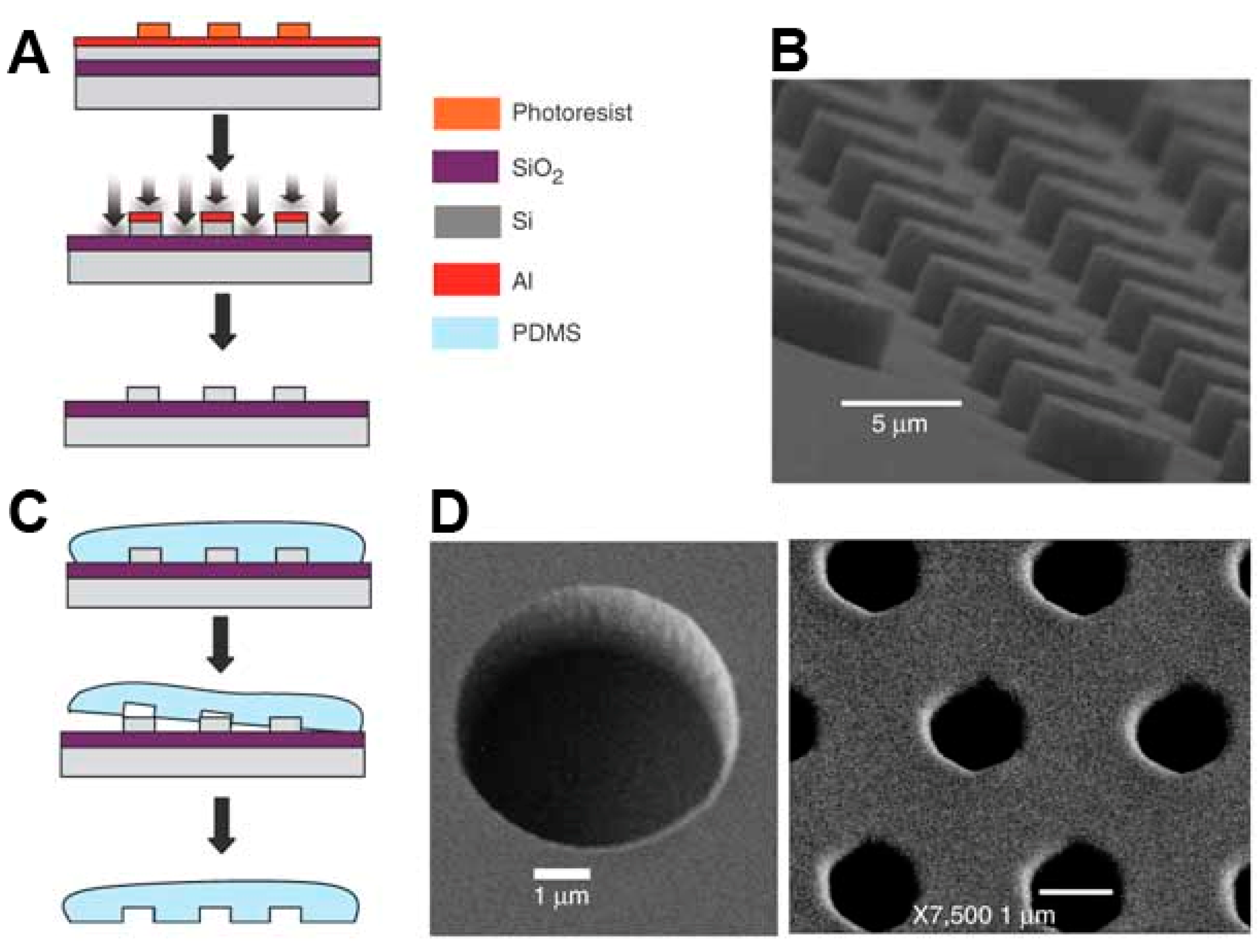 Molecules 19 14417 g007