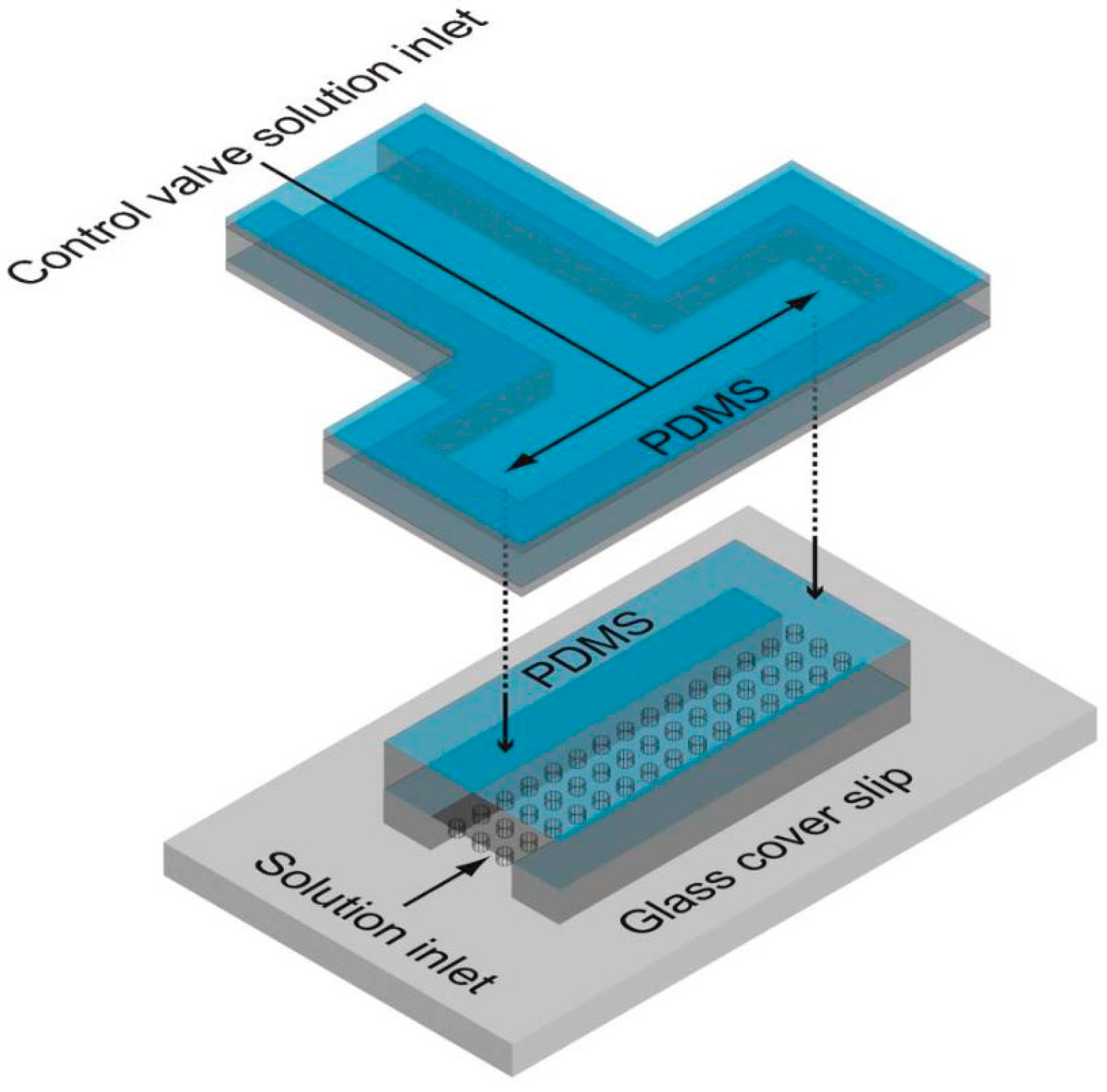 Molecules 19 14417 g008