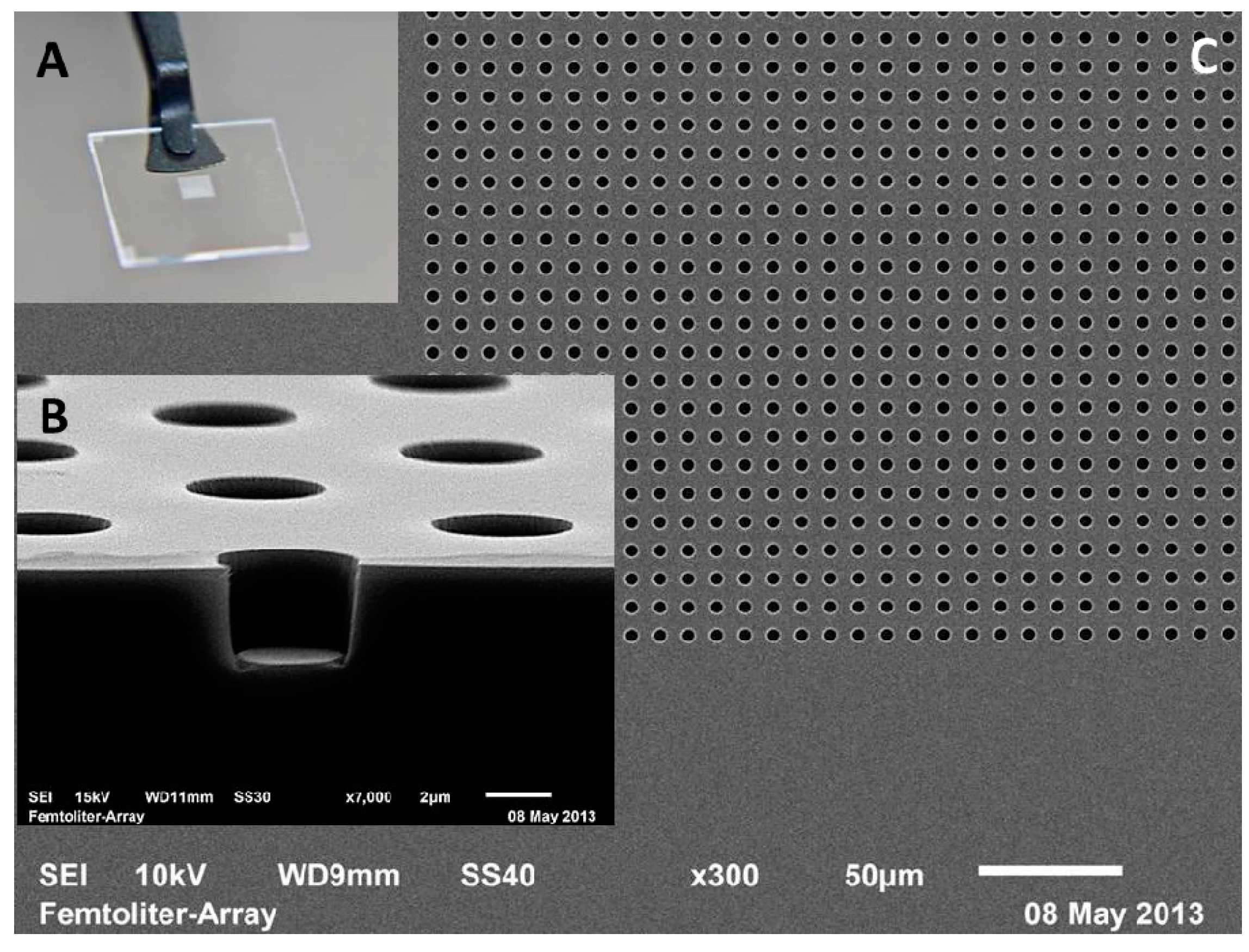 Molecules 19 14417 g009