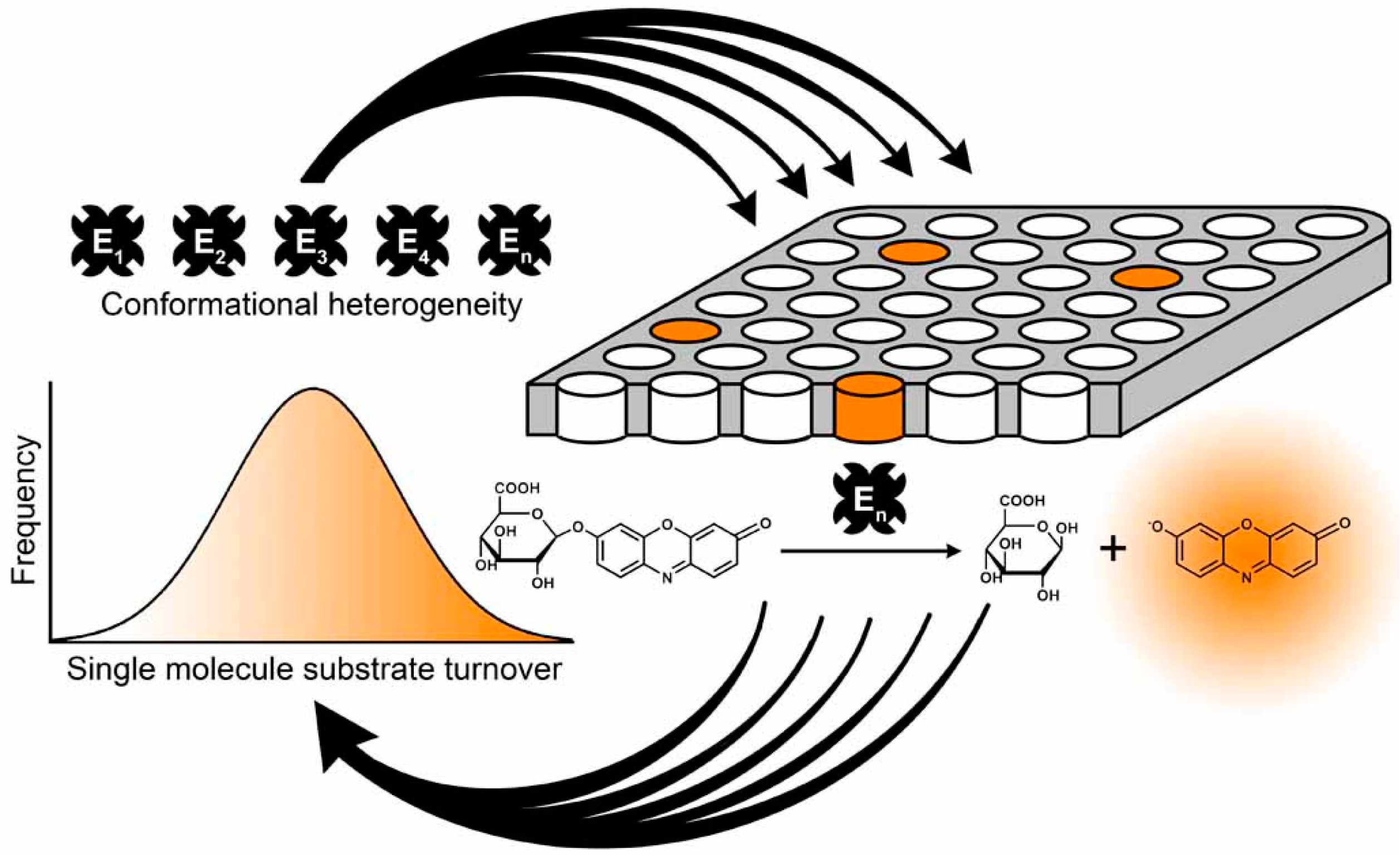 Molecules 19 14417 g010