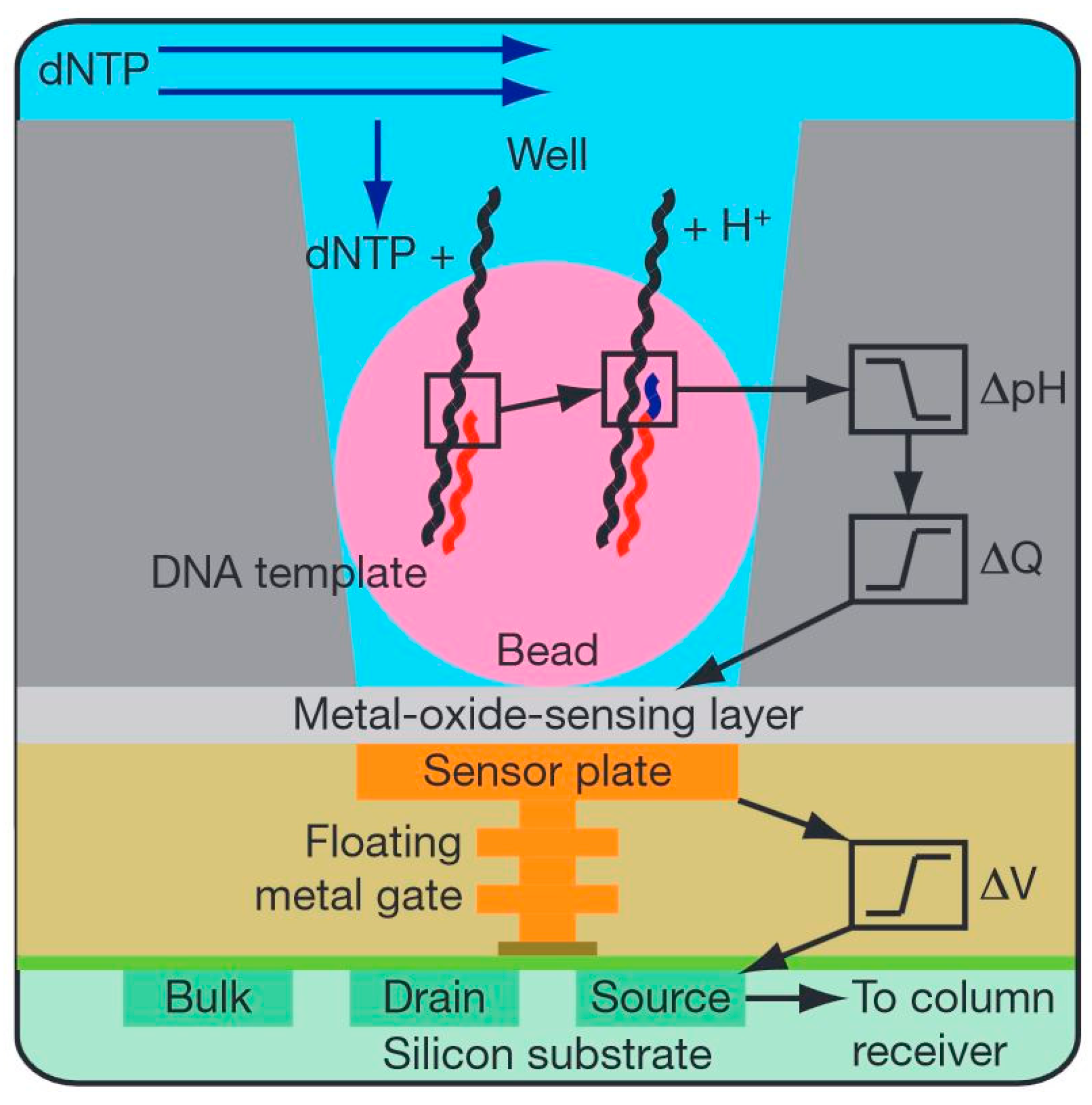 Molecules 19 14417 g011