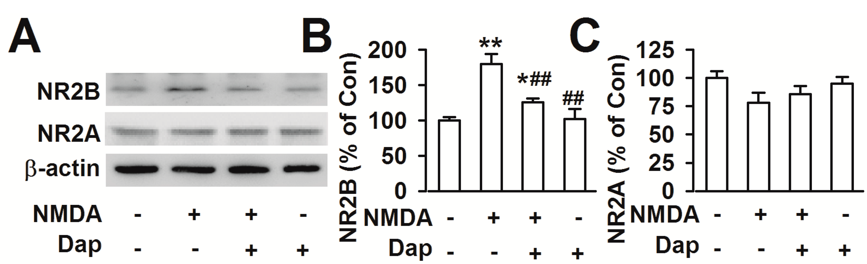 Molecules 19 14542 g004