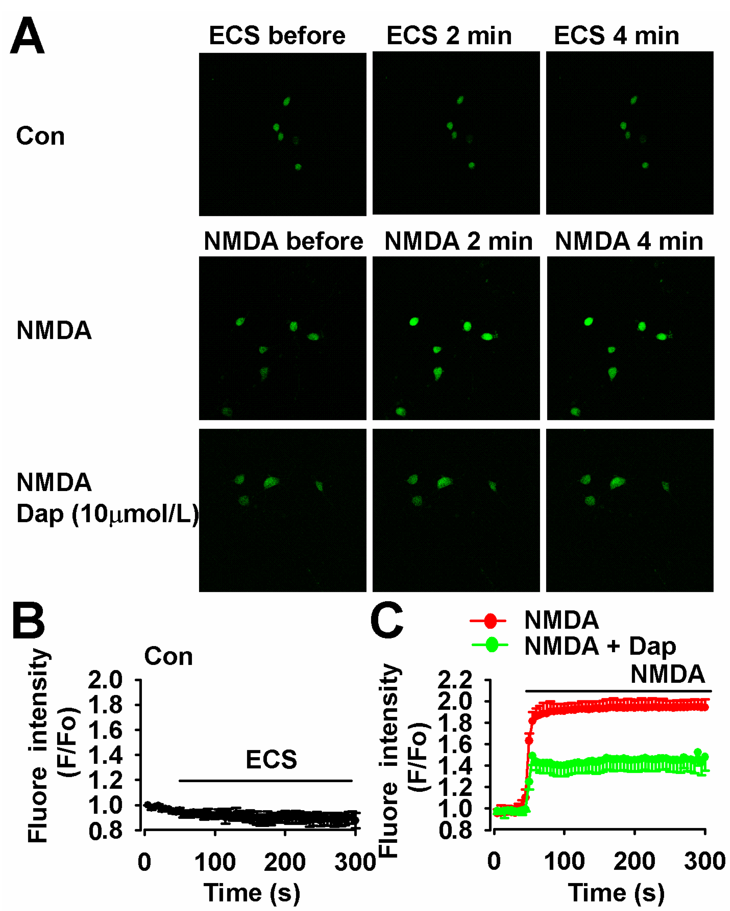 Molecules 19 14542 g005