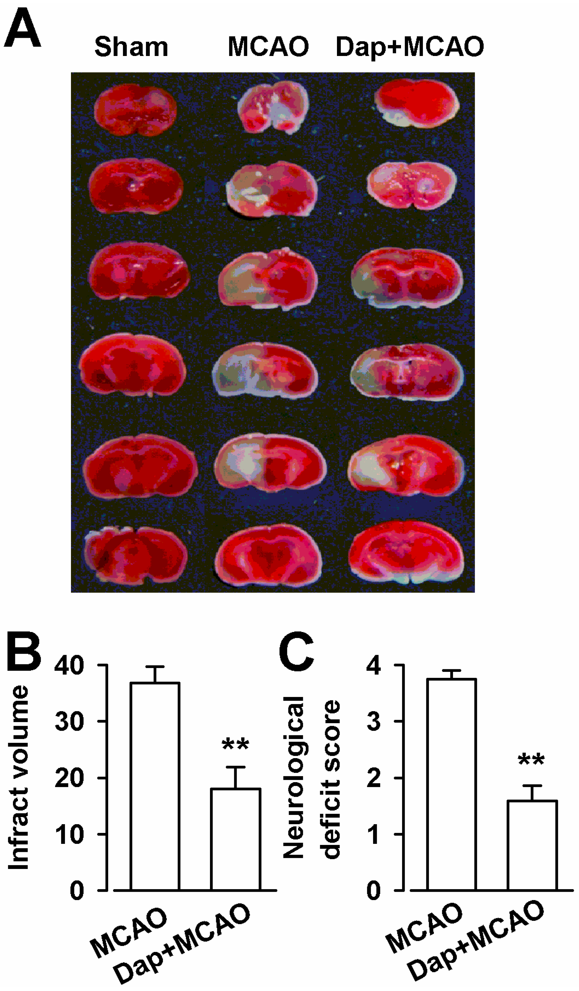 Molecules 19 14542 g006