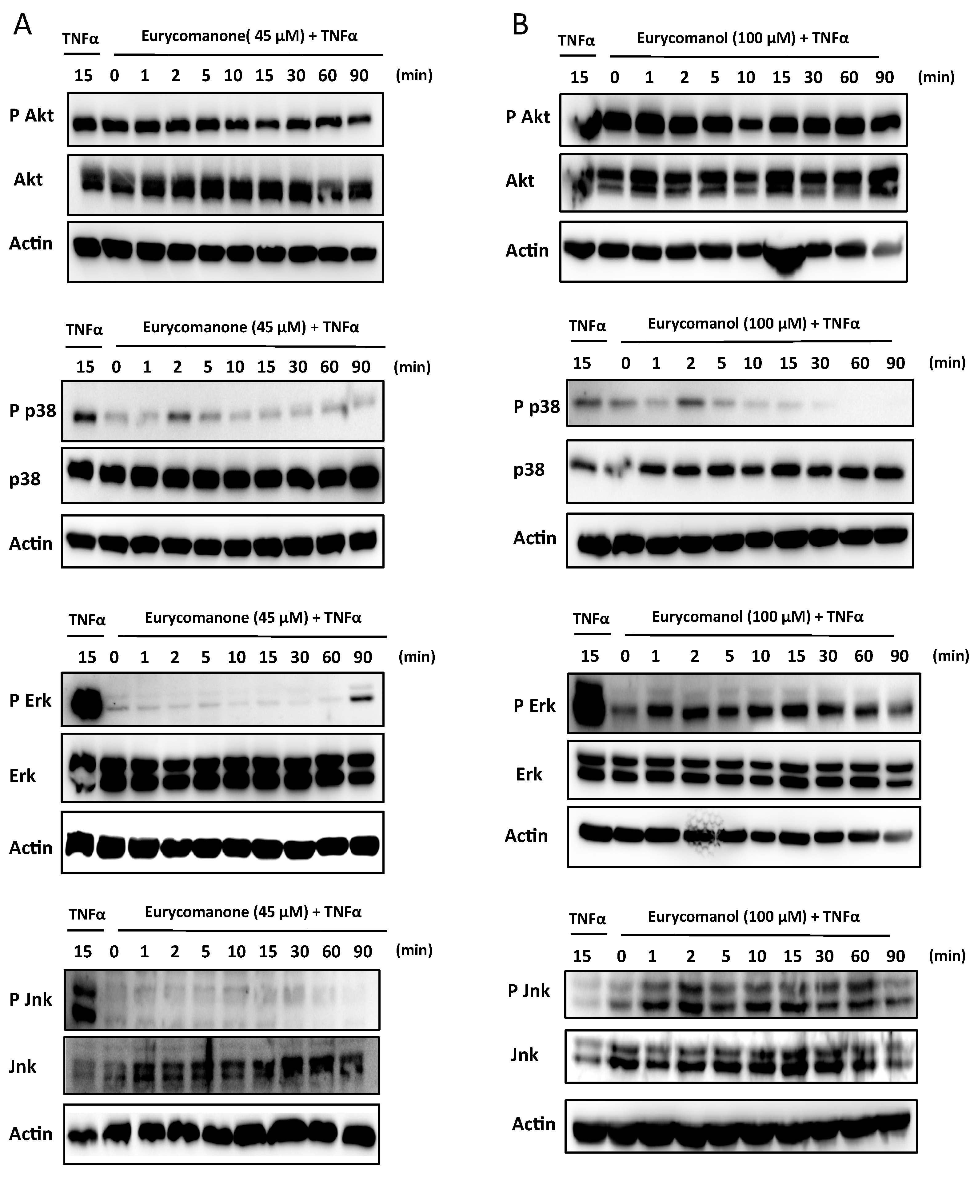 Molecules 19 14649 g009