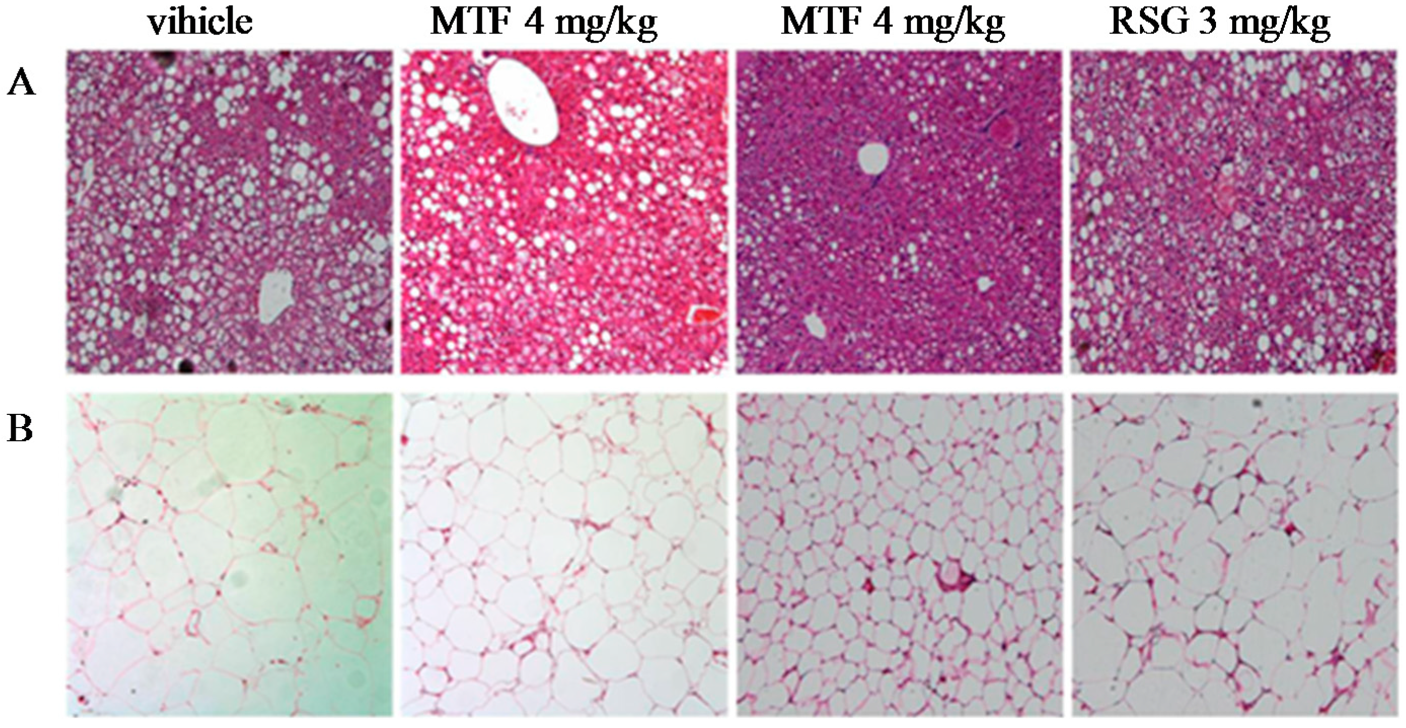 Molecules 19 14687 g005 550