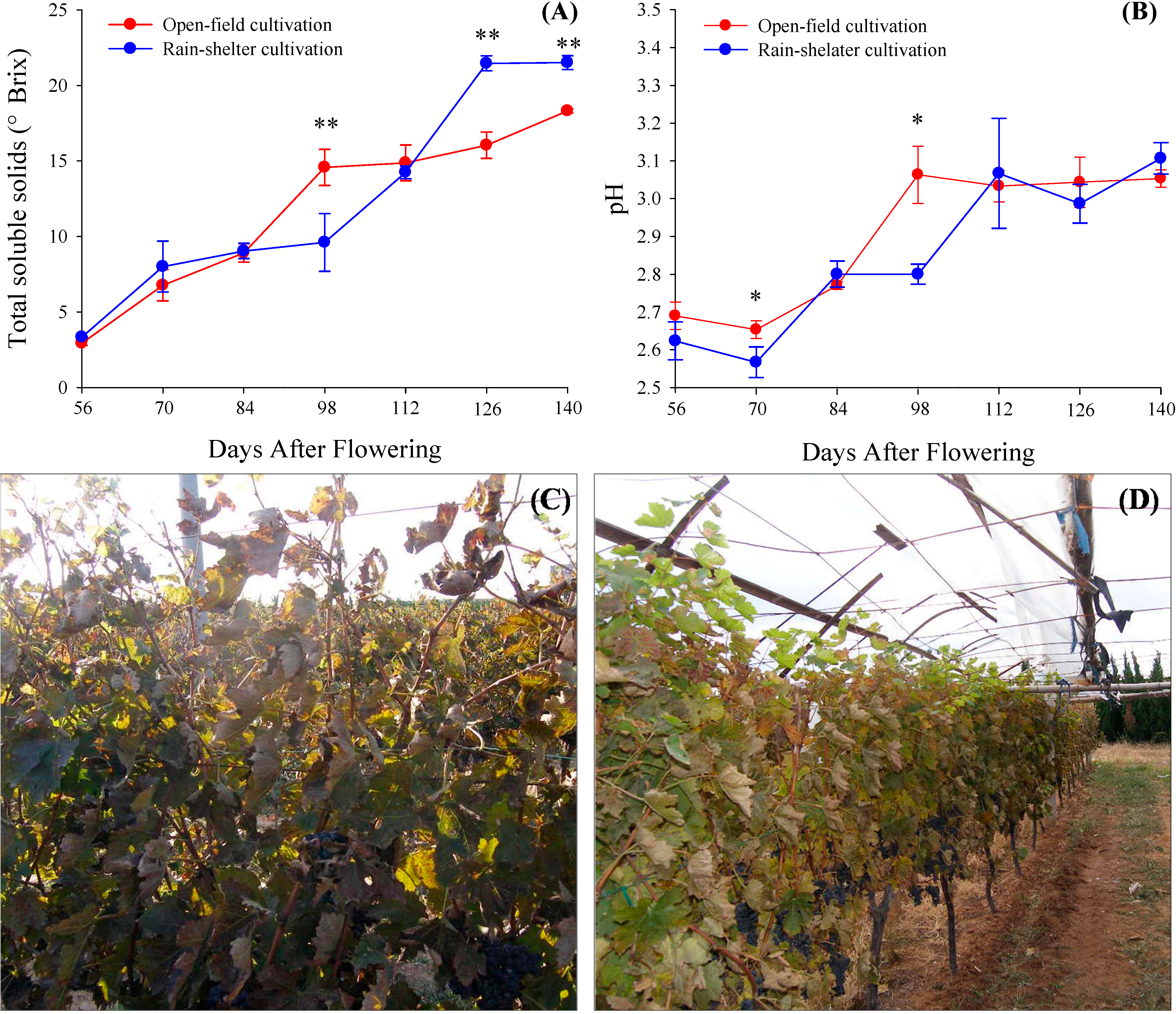Molecules 19 14843 g002 550