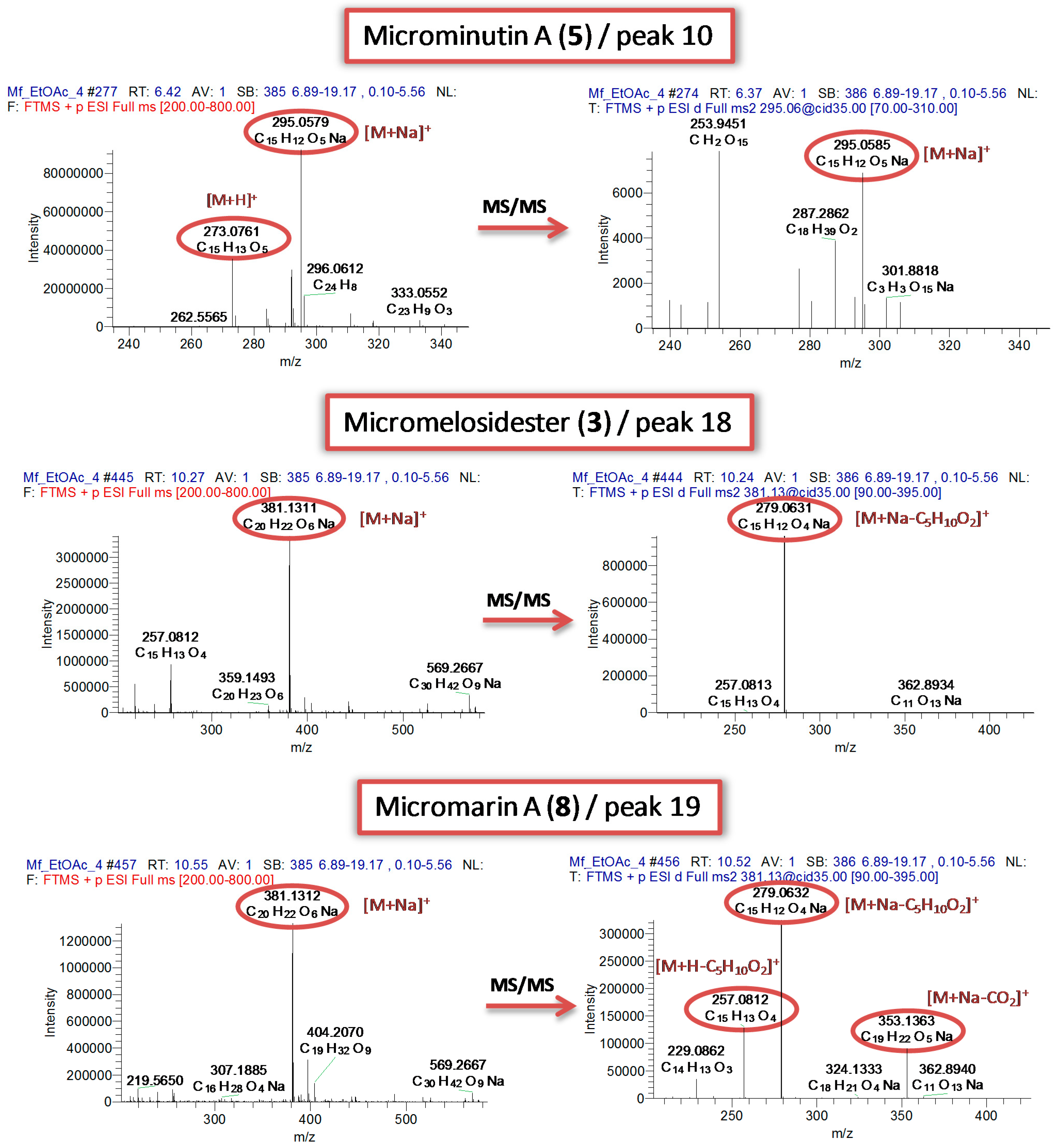 Molecules 19 15042 g003 550
