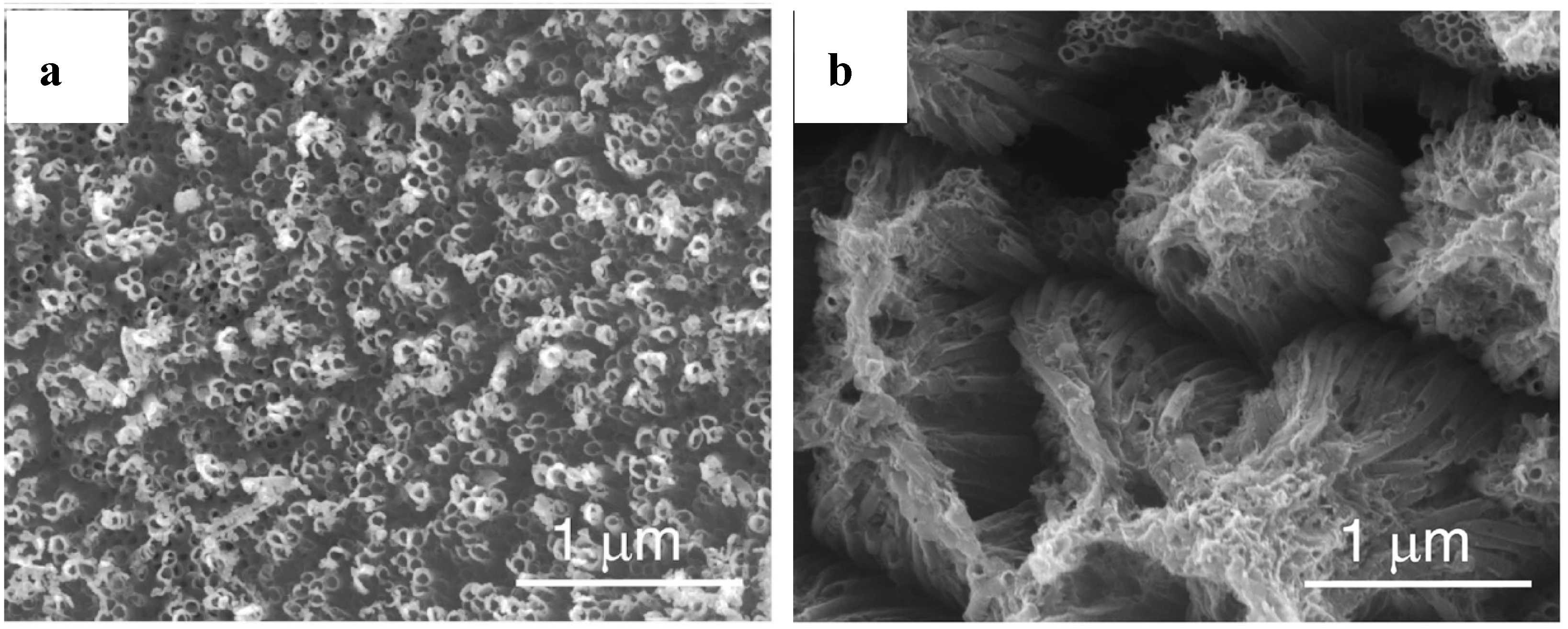 Molecules 19 15075 g008 550