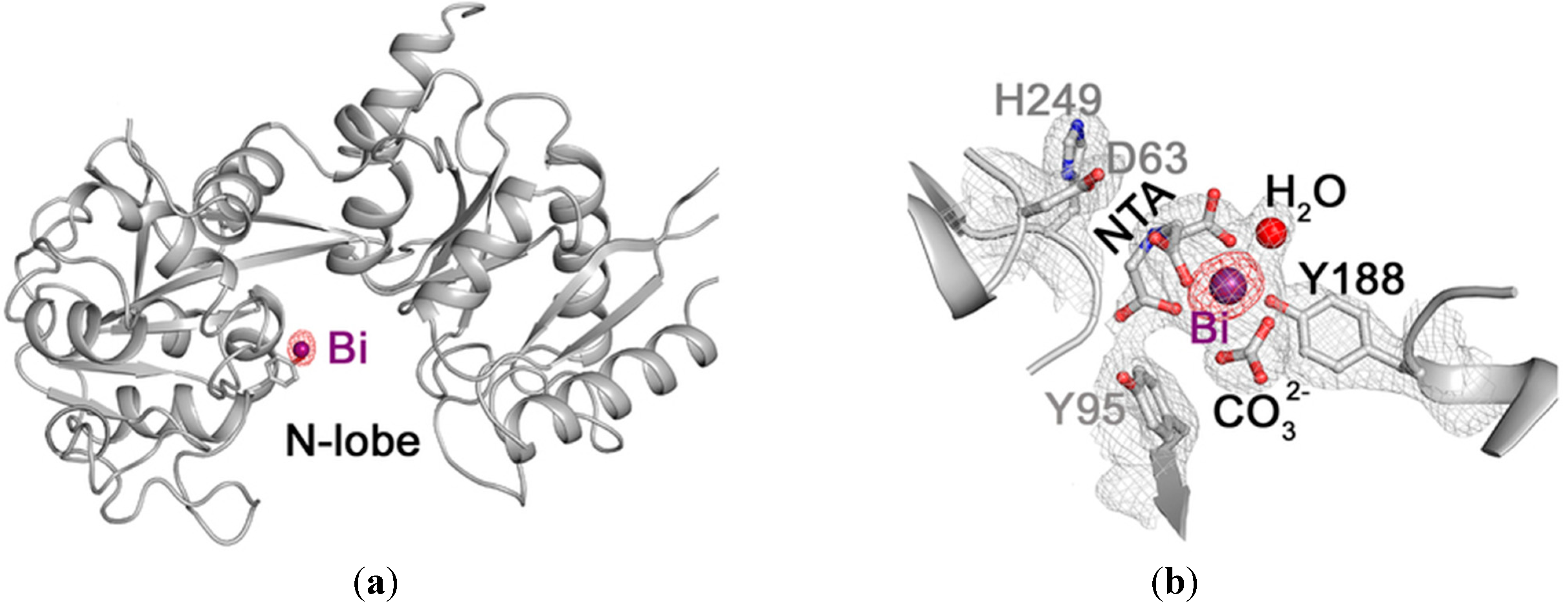 Molecules 19 15258 g004