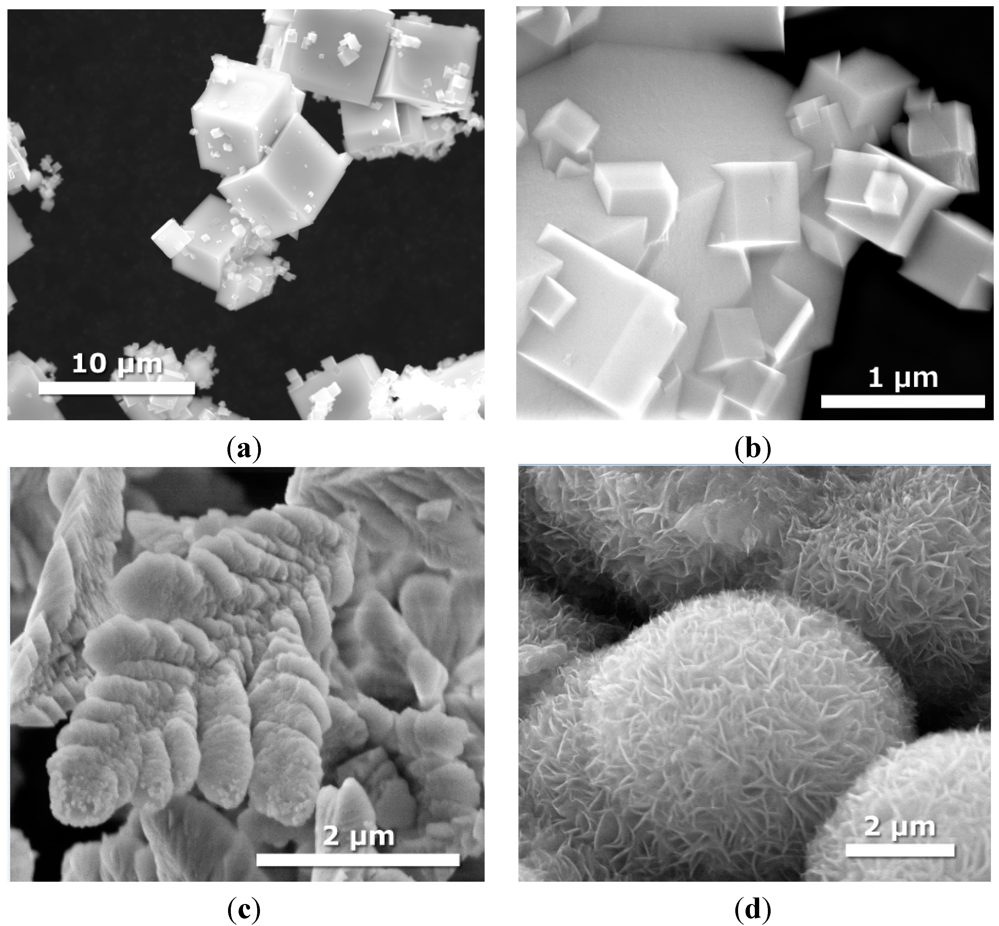 Molecules 19 15339 g002
