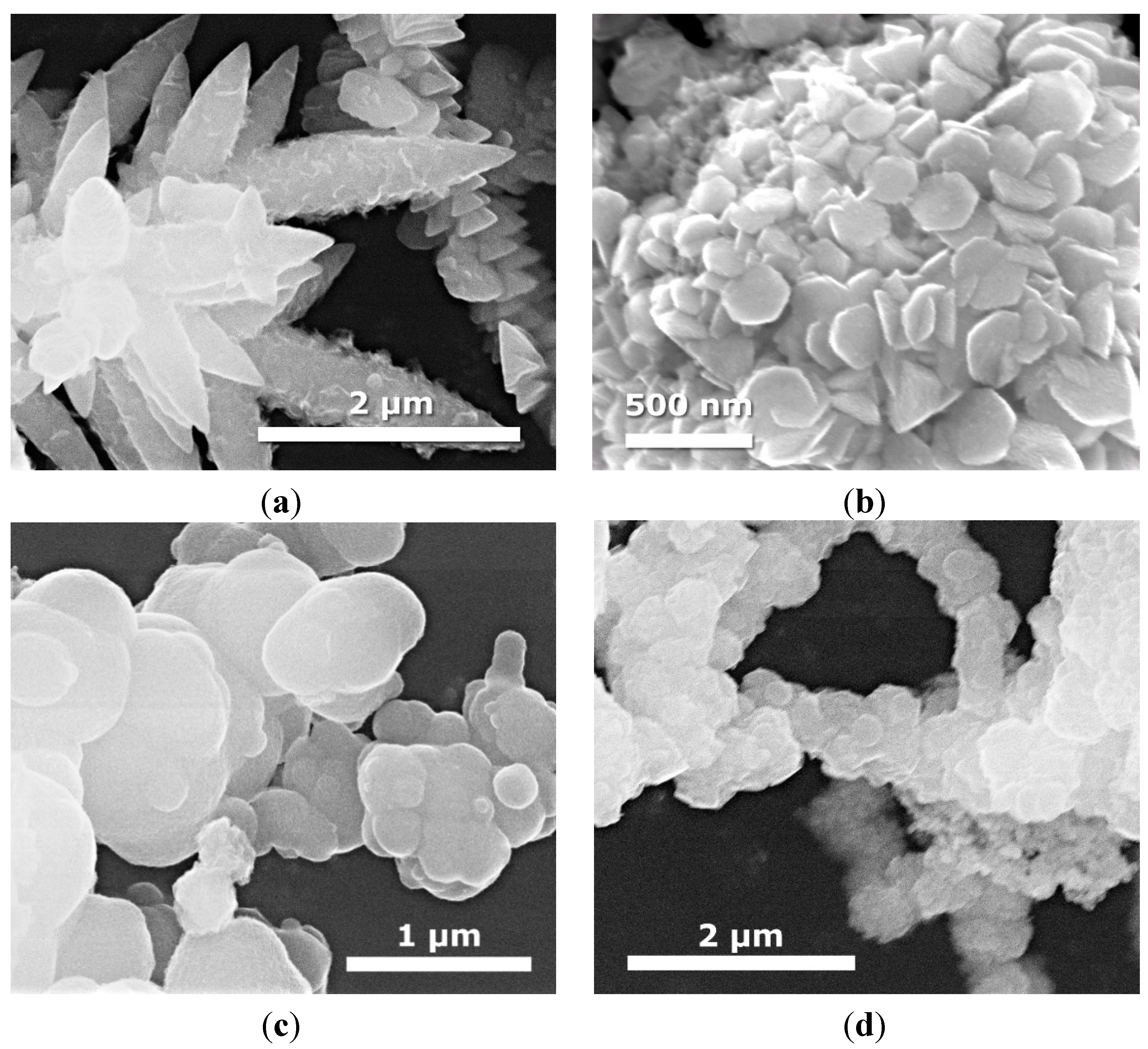 Molecules 19 15339 g003