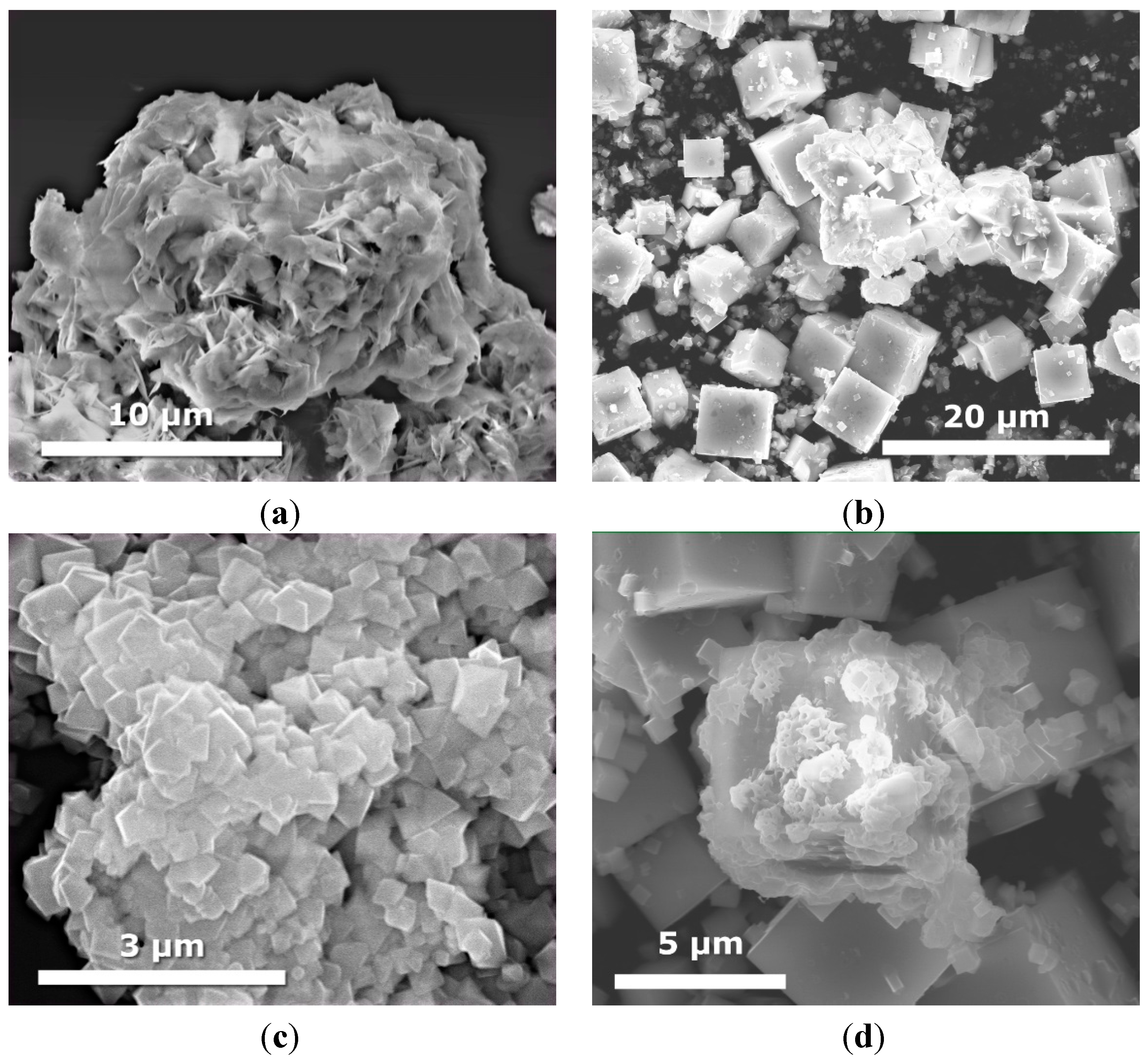 Molecules 19 15339 g004