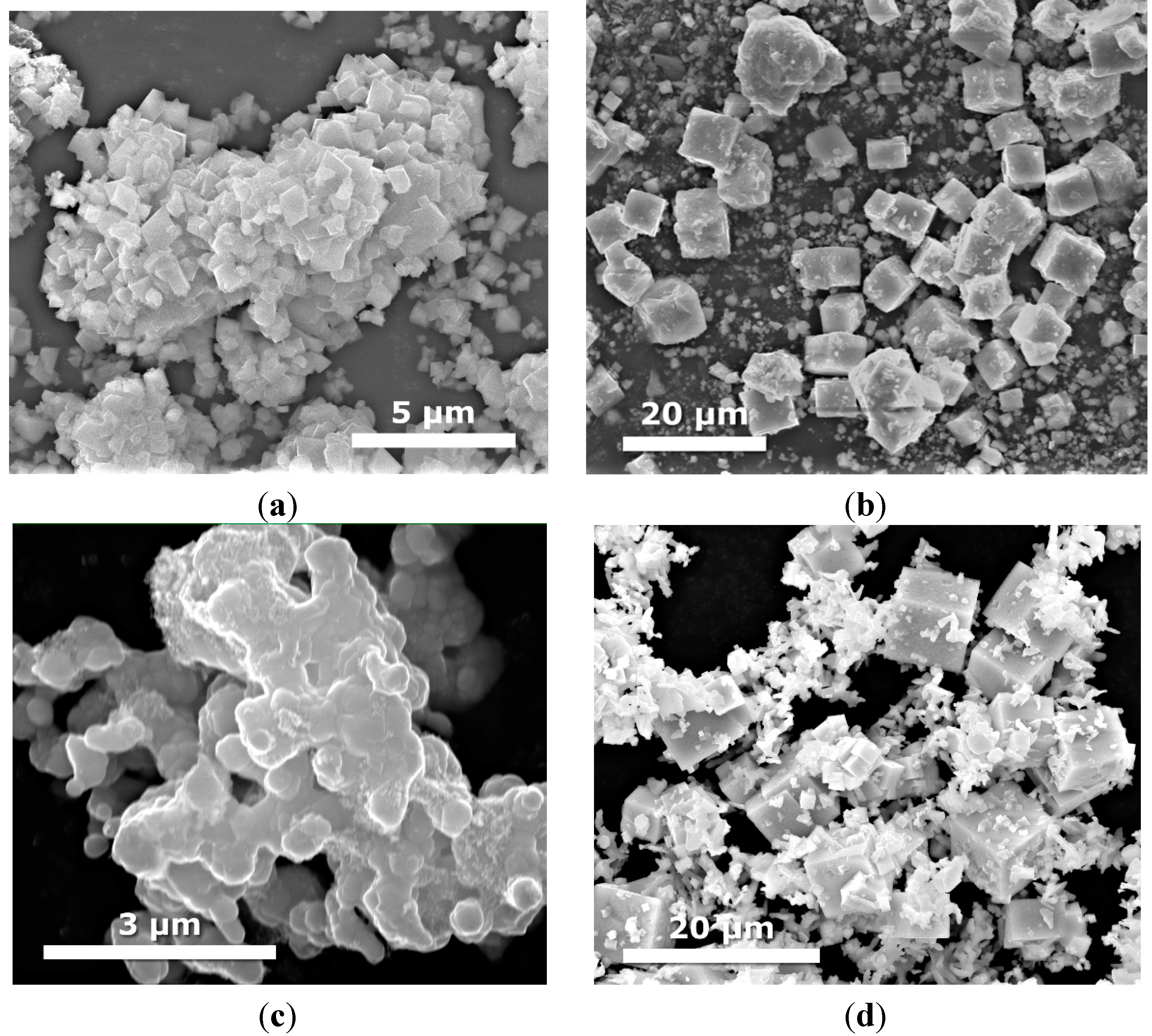 Molecules 19 15339 g005