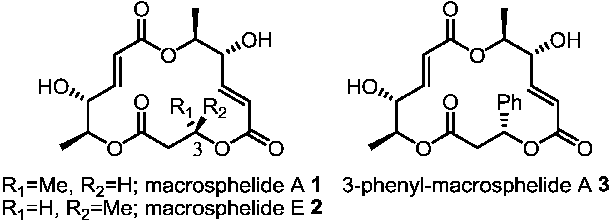 Molecules | Free Full-Text | Development of an Advanced Synthetic 