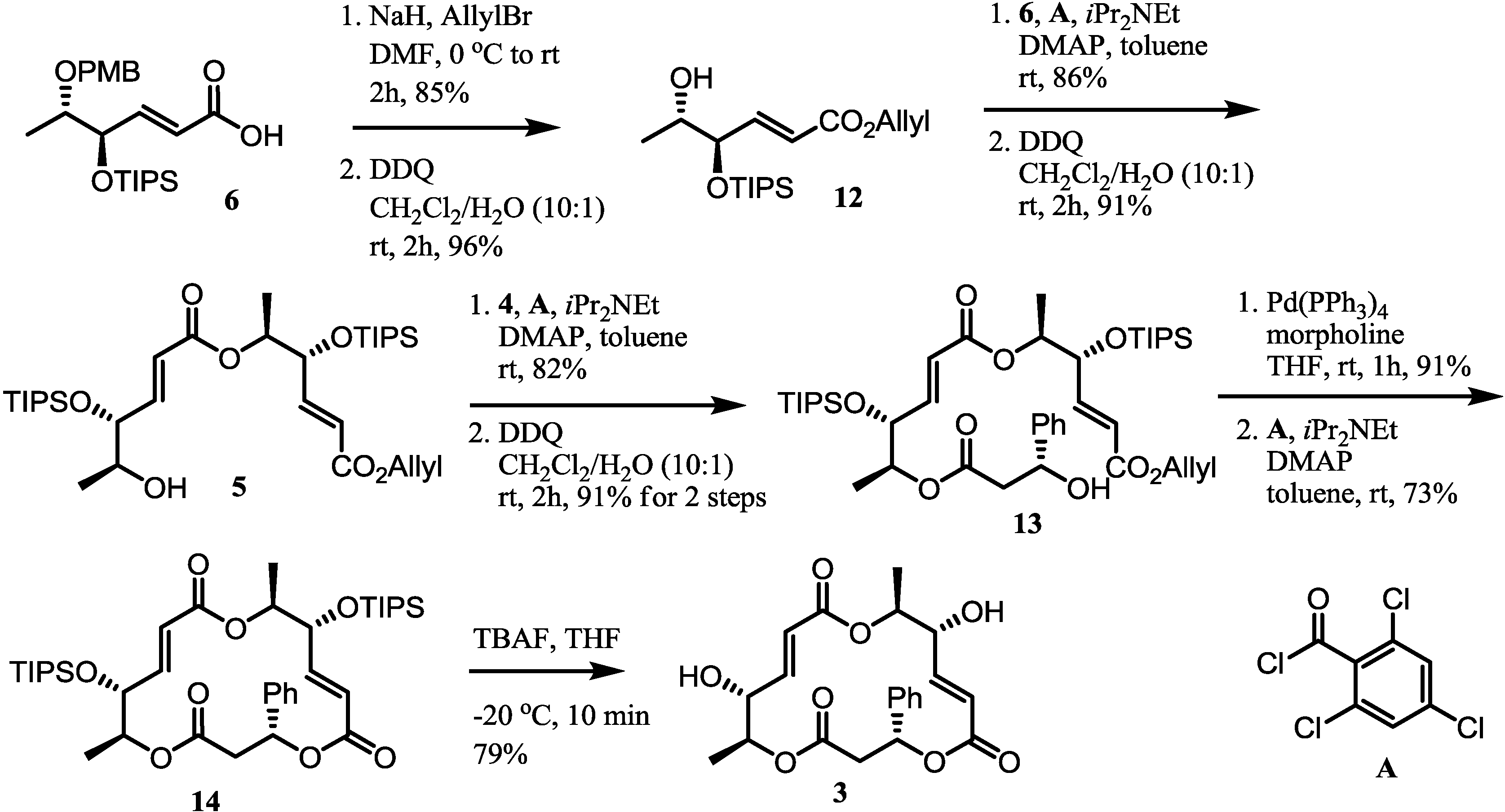 Molecules 19 15572 g005