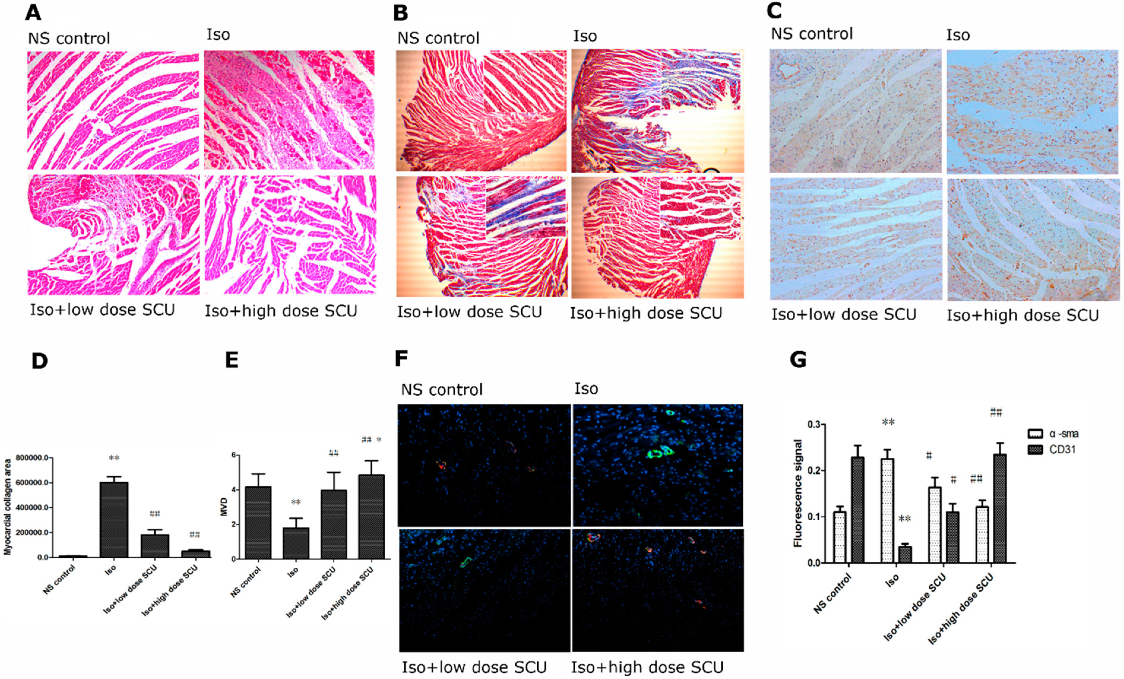 Molecules 19 15611 g002 550