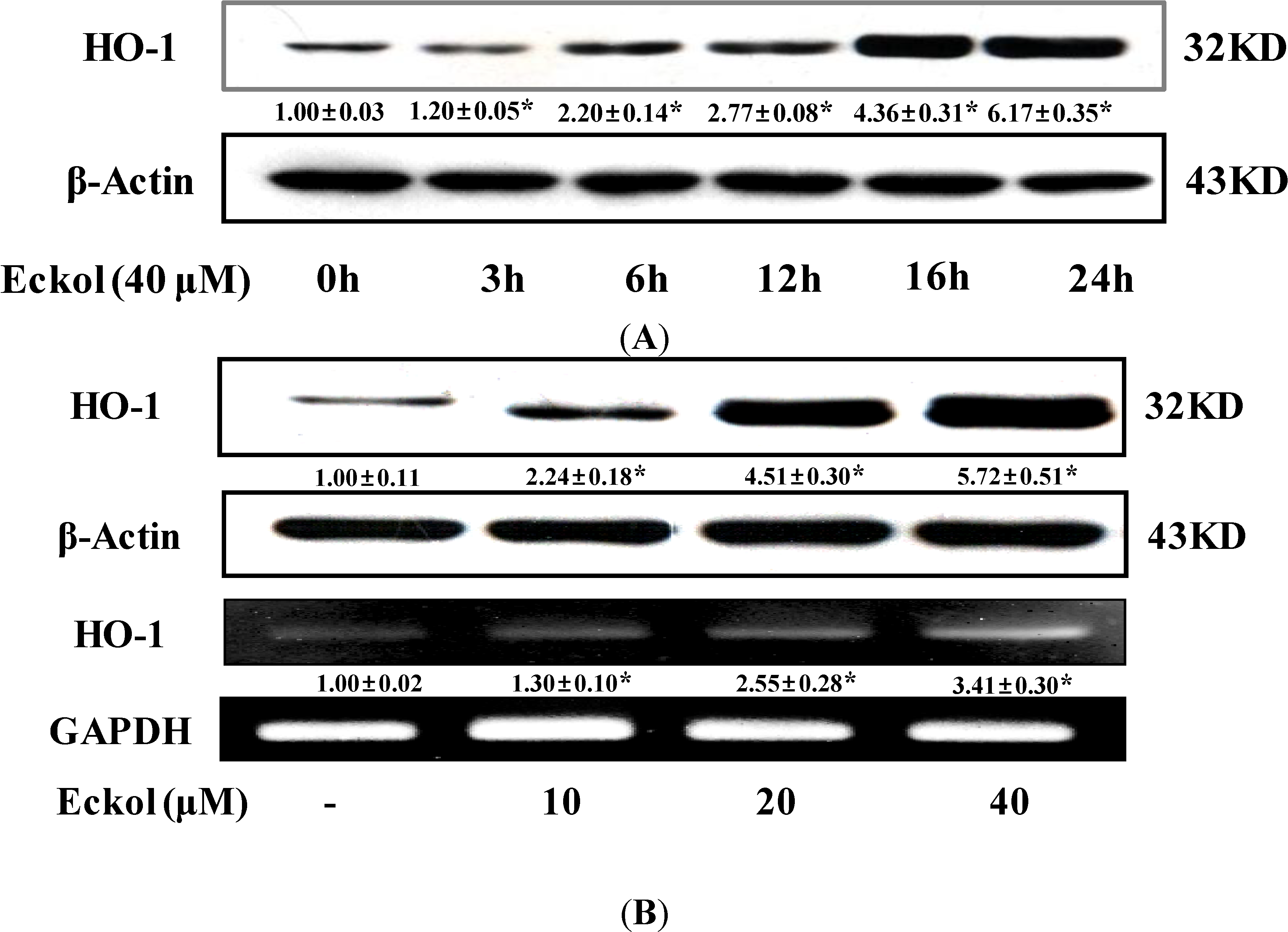 Molecules 19 15638 g003