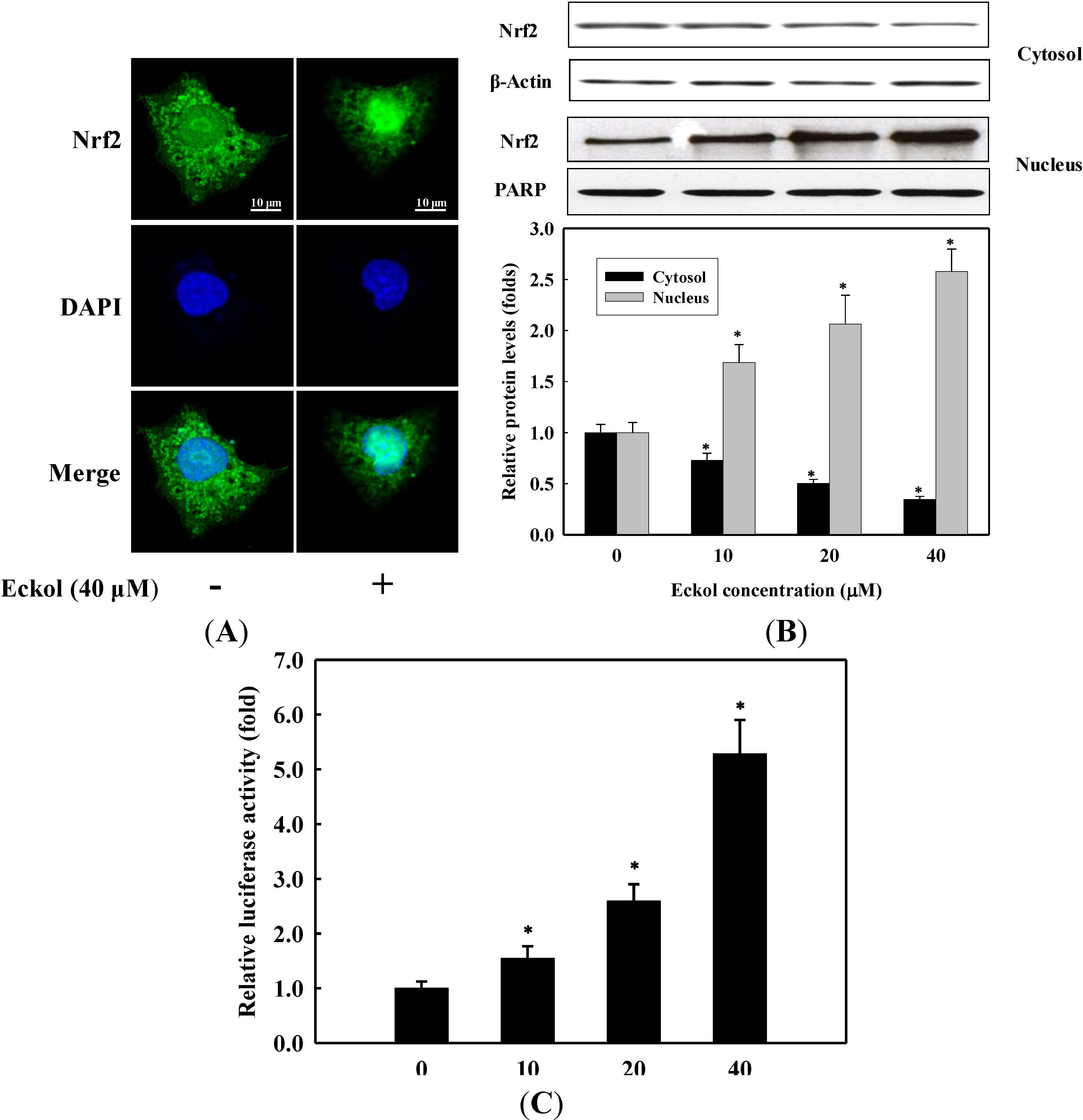 Molecules 19 15638 g004