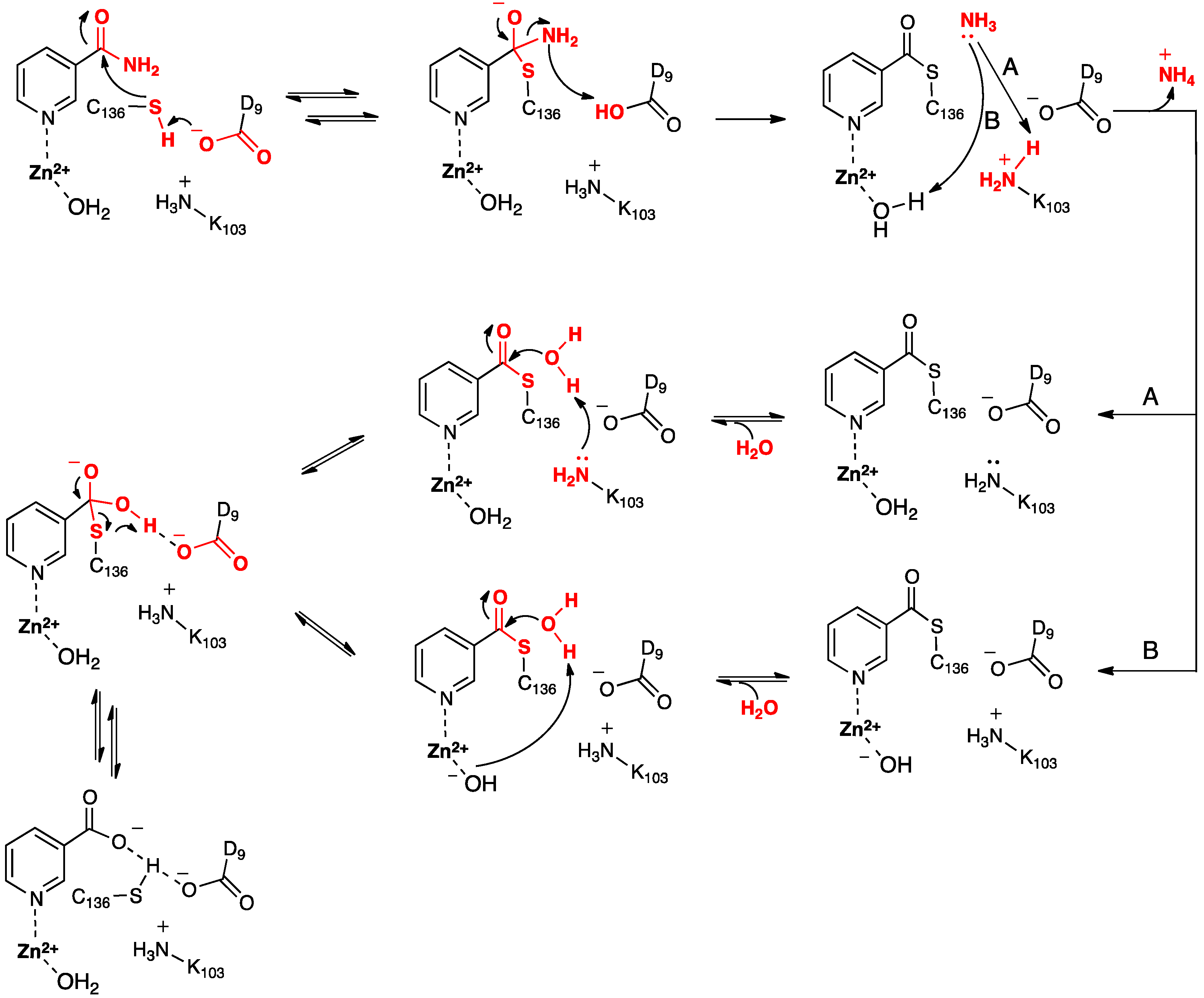 Molecules 19 15735 g010 550